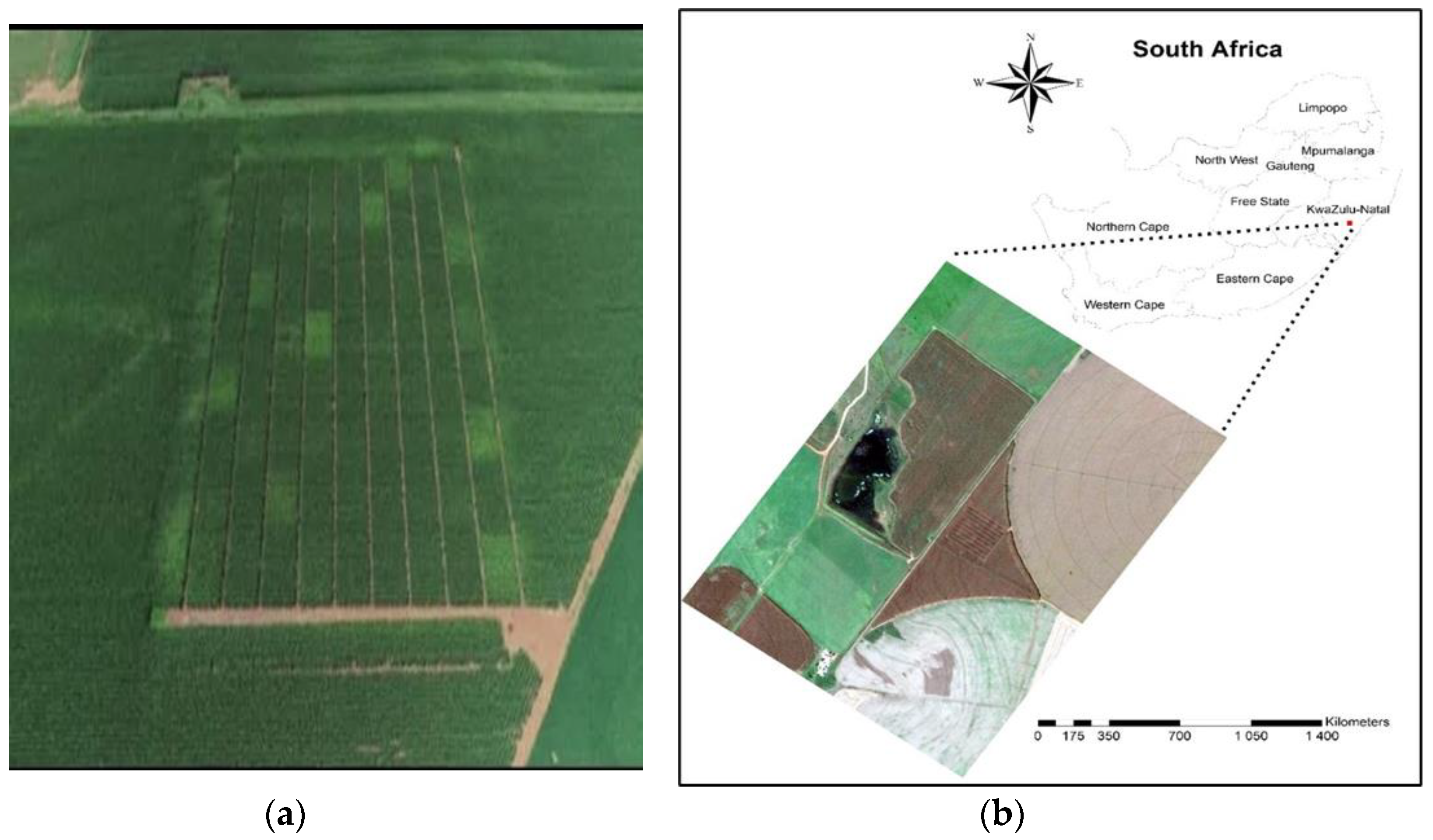 Agronomy 12 00722 g001