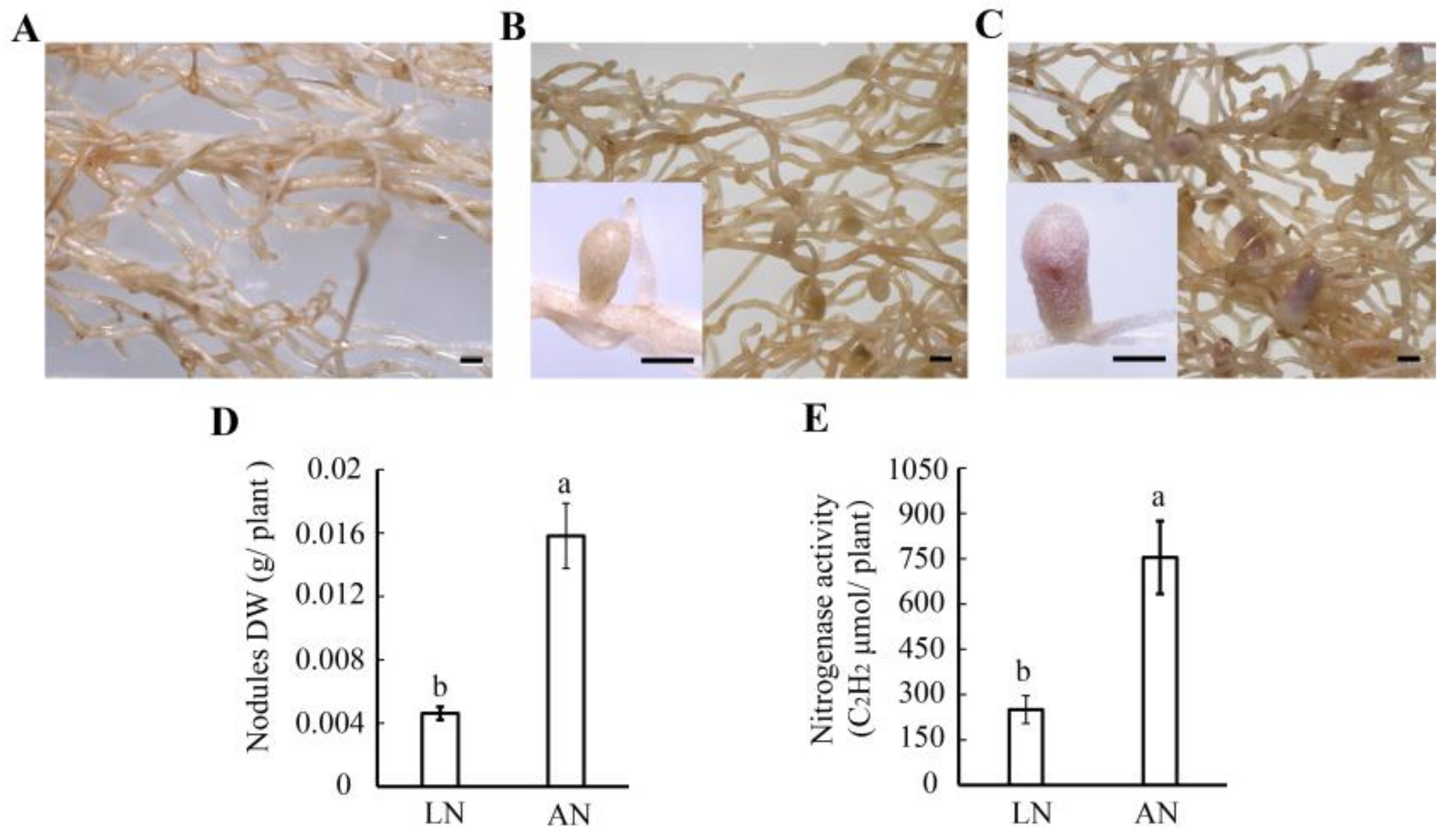 Agronomy 12 00725 g001