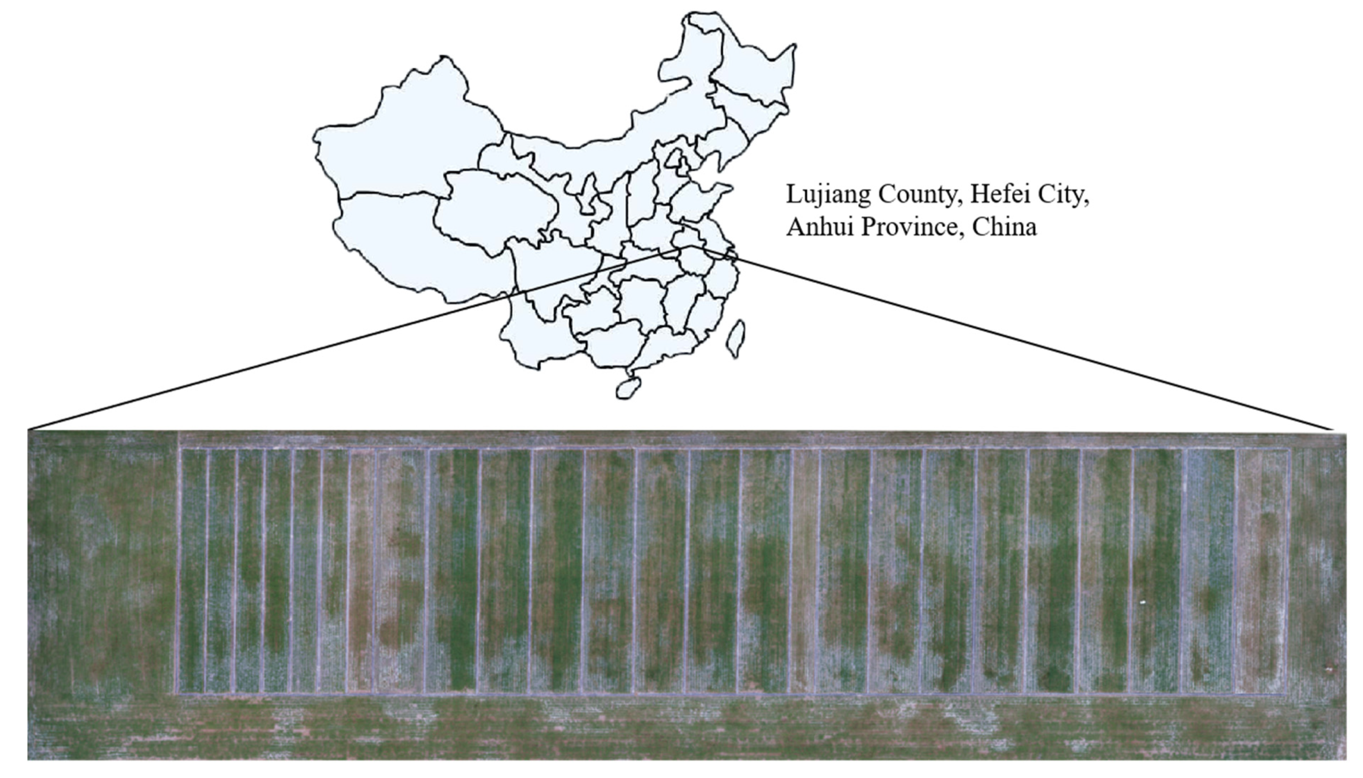 Agronomy 12 00742 g001