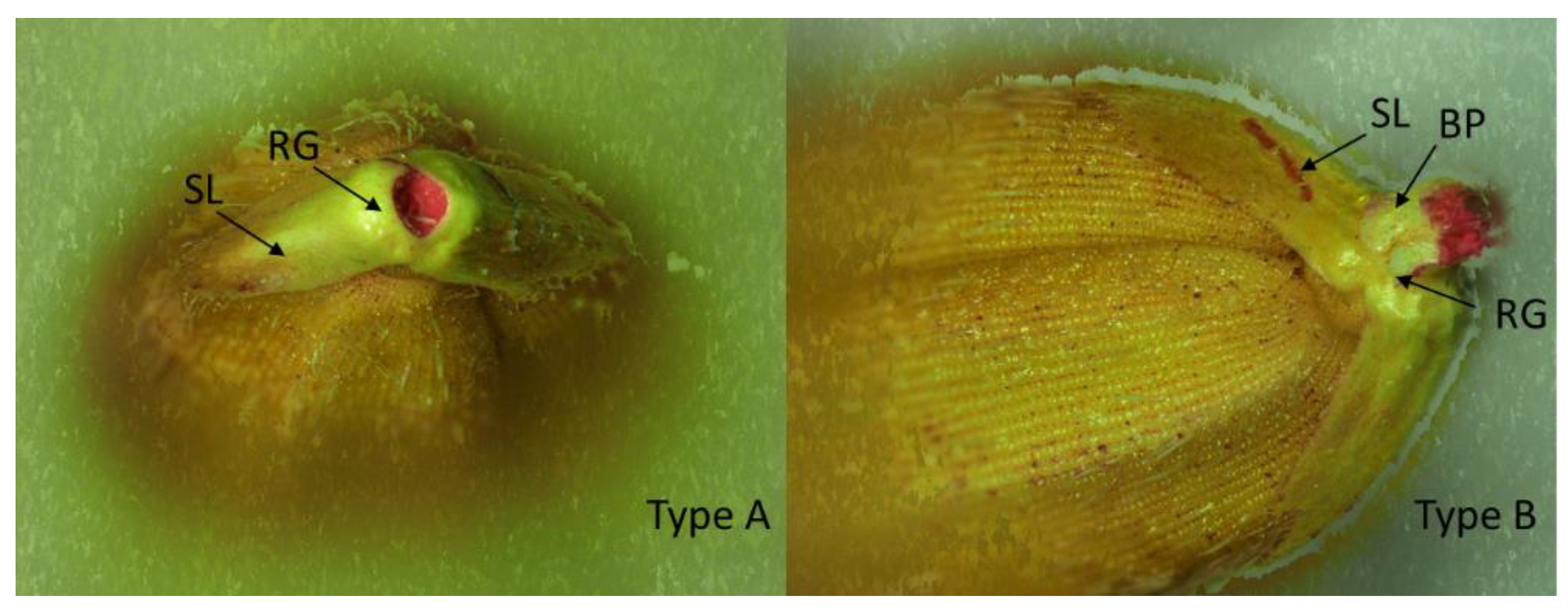 Agronomy 12 00744 g002