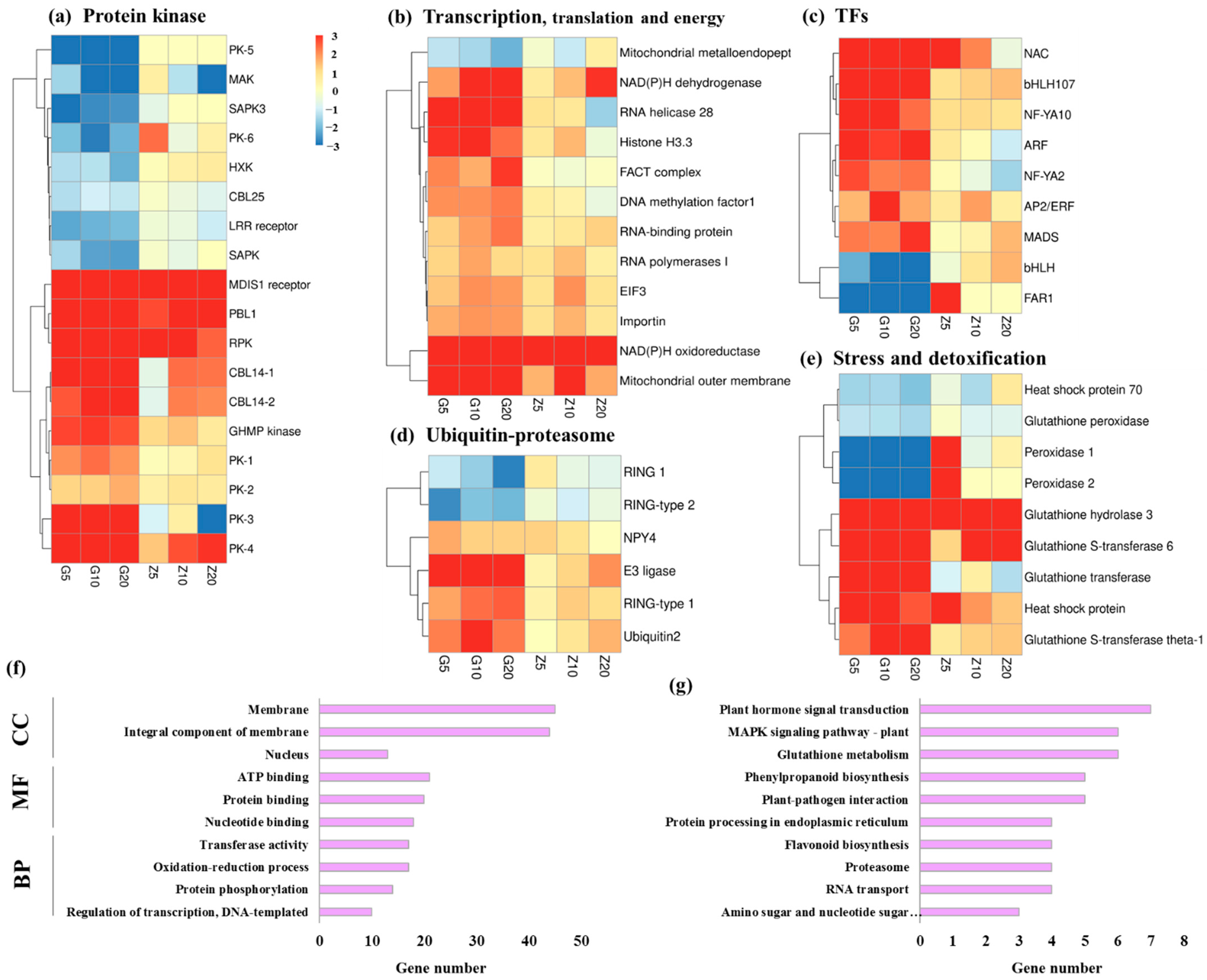 Agronomy 12 00749 g003