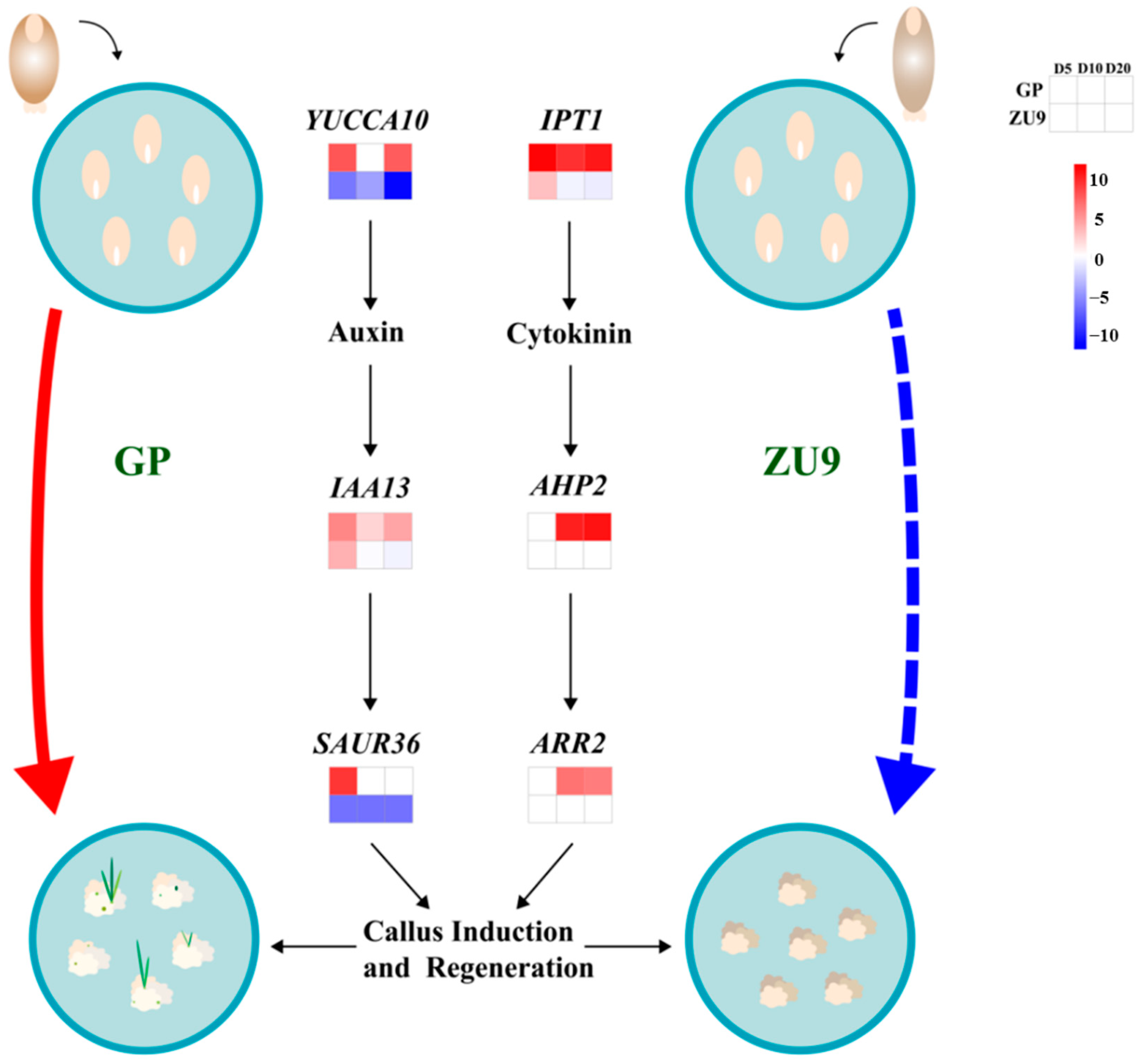Agronomy 12 00749 g005