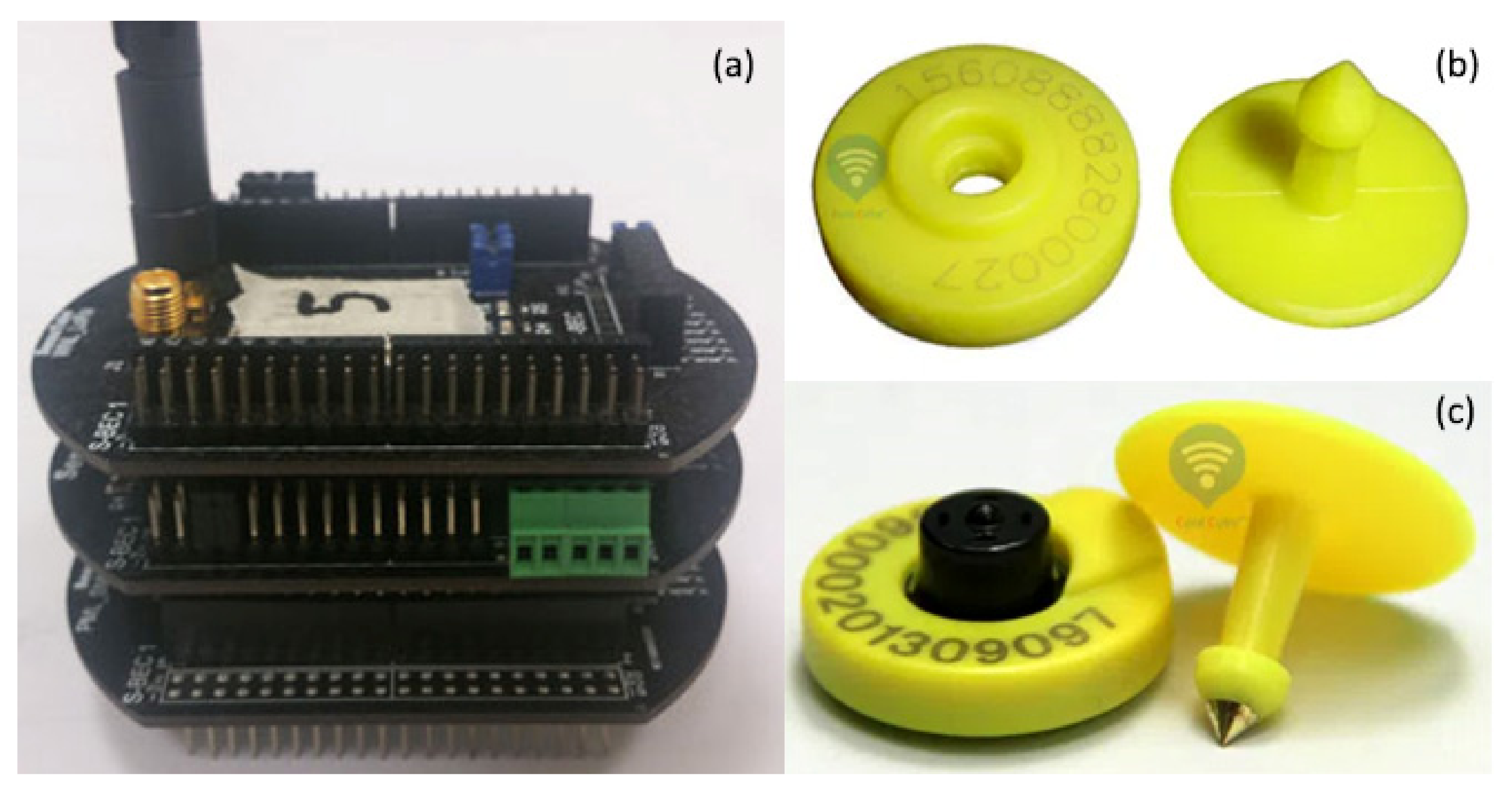 Agronomy 12 00750 g013 Agronomy 12 00750 g013