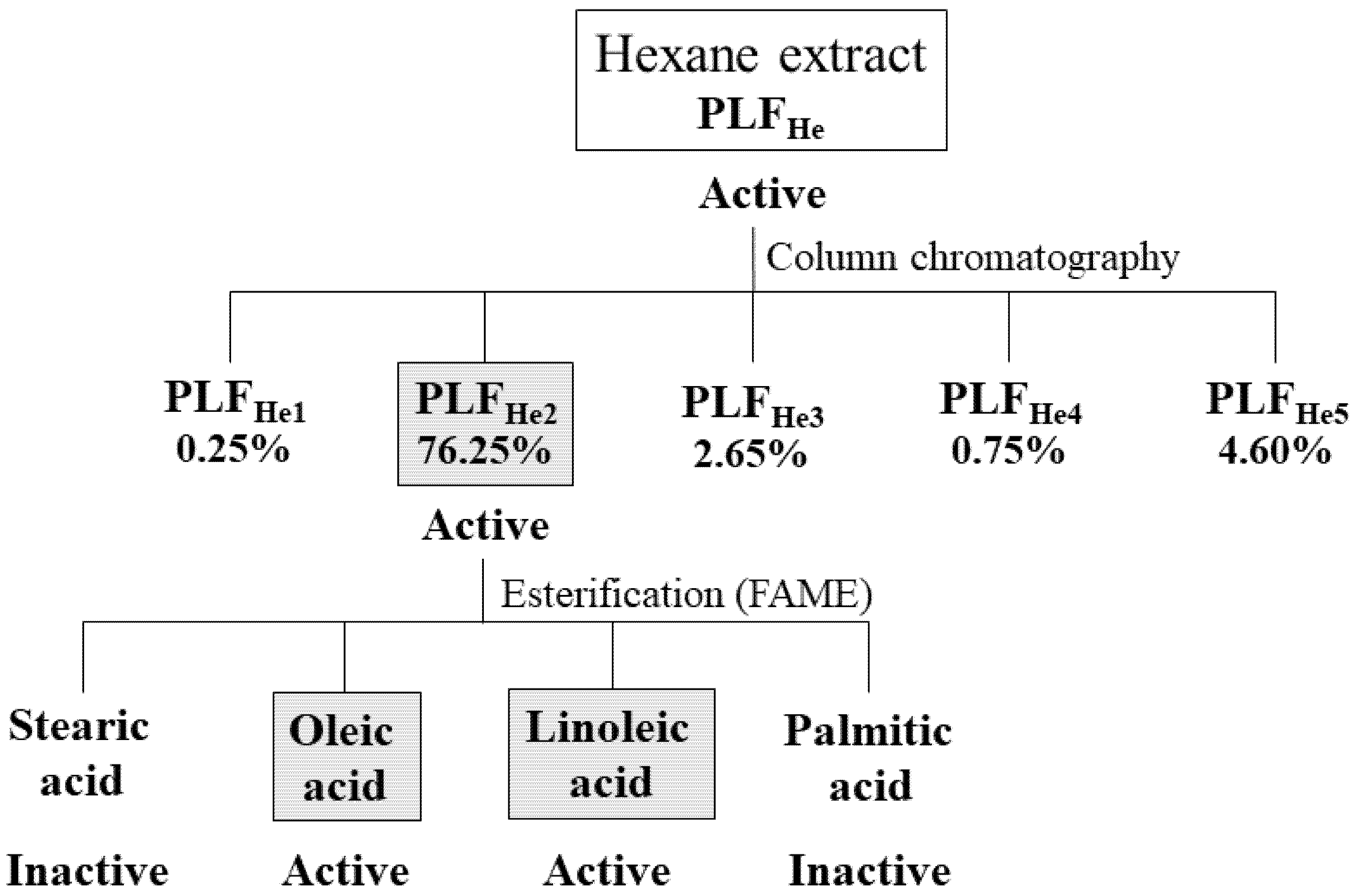 Agronomy 12 00755 g002