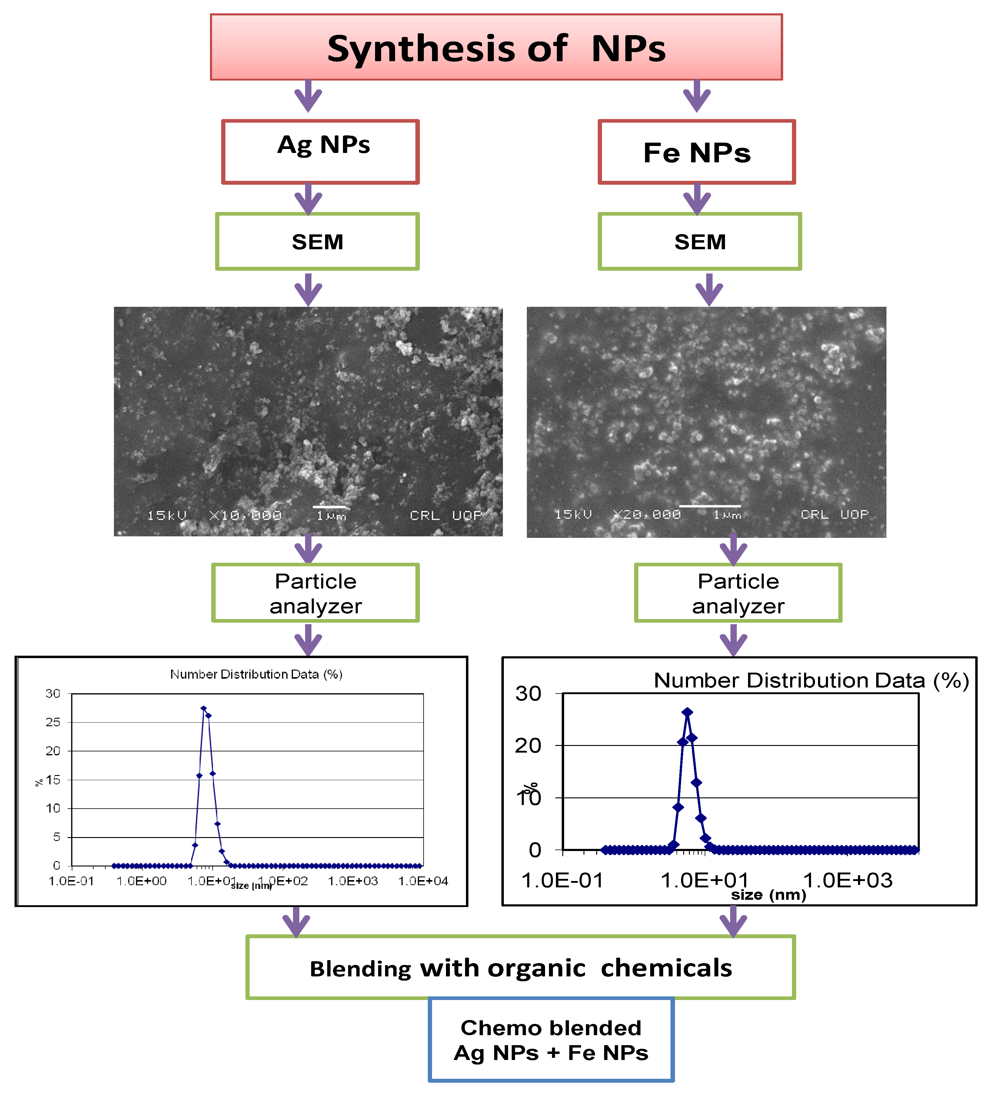 Agronomy 12 00757 g001