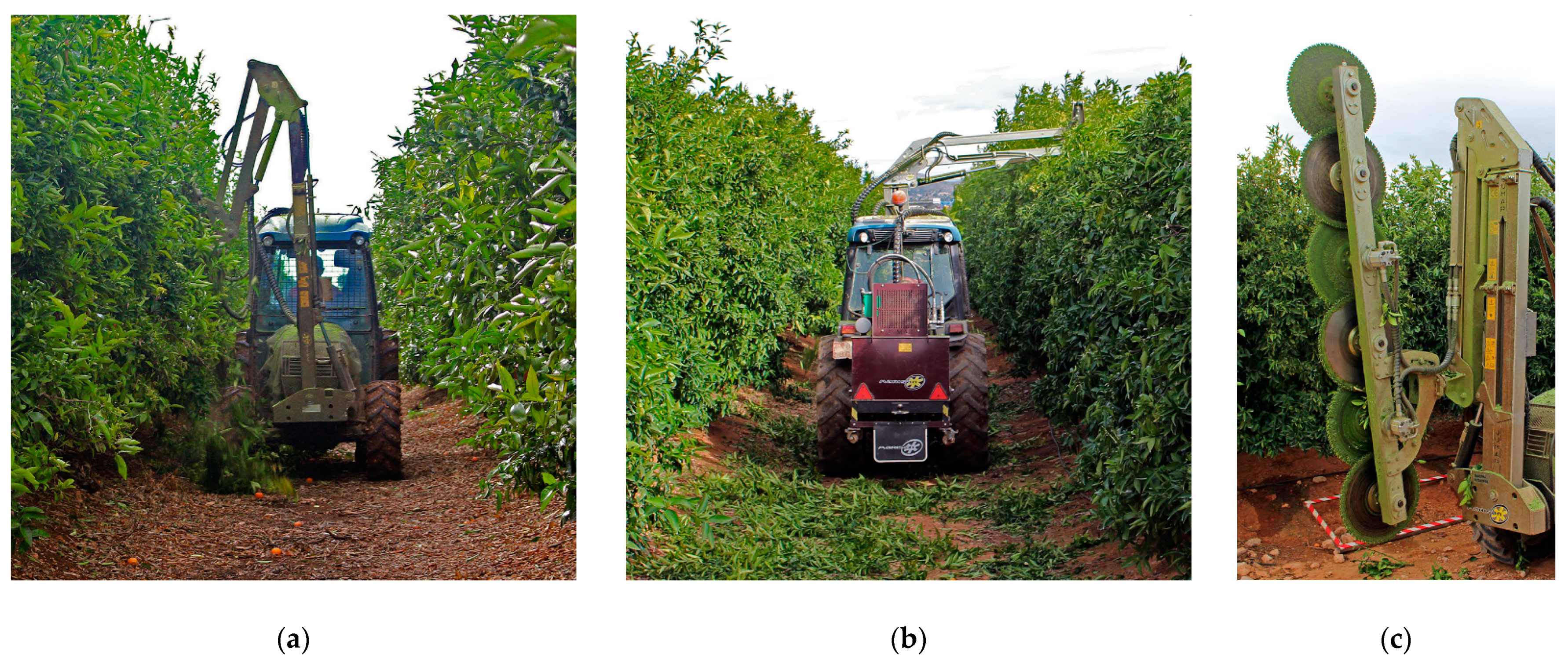 Agronomy 12 00761 g002