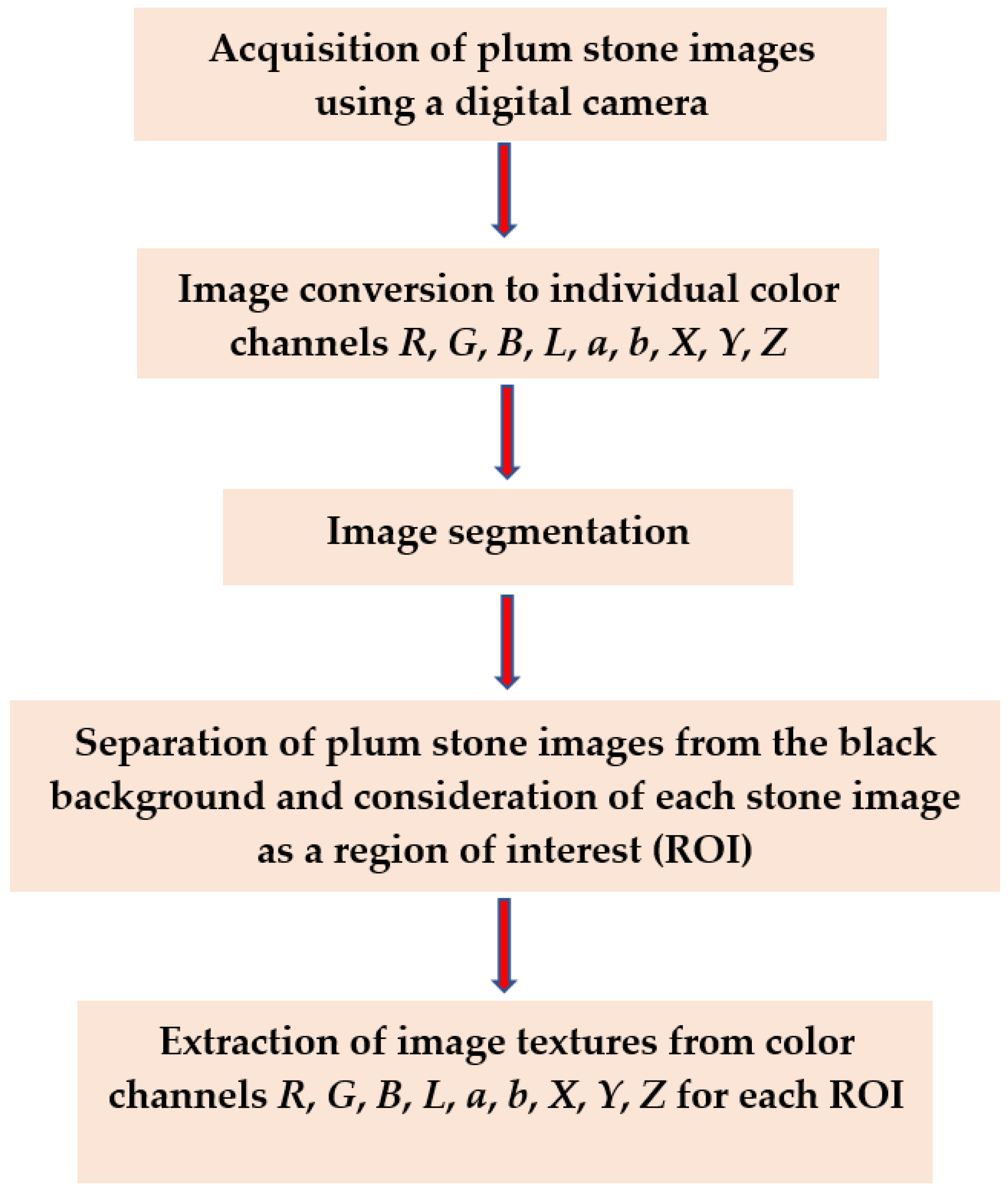 Agronomy 12 00762 g001 550