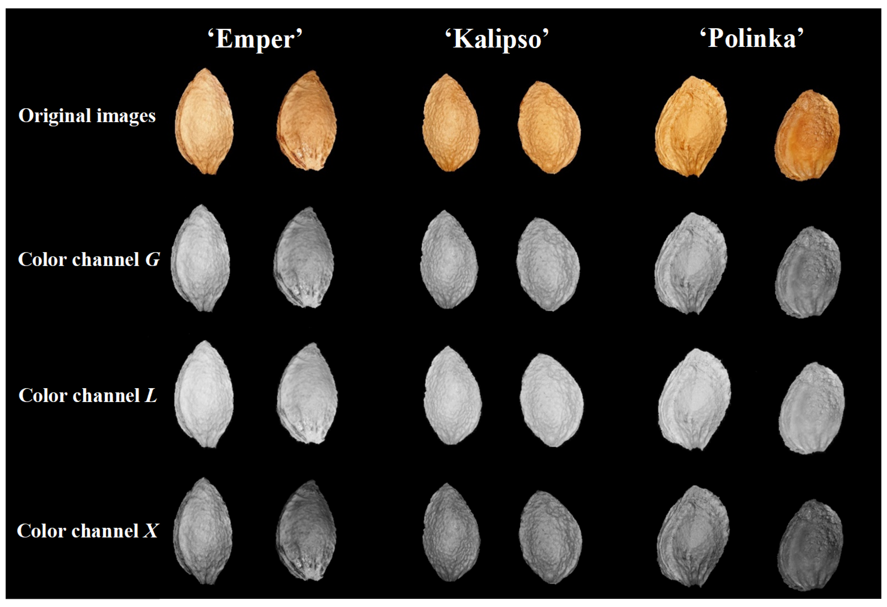 Agronomy 12 00762 g002 550