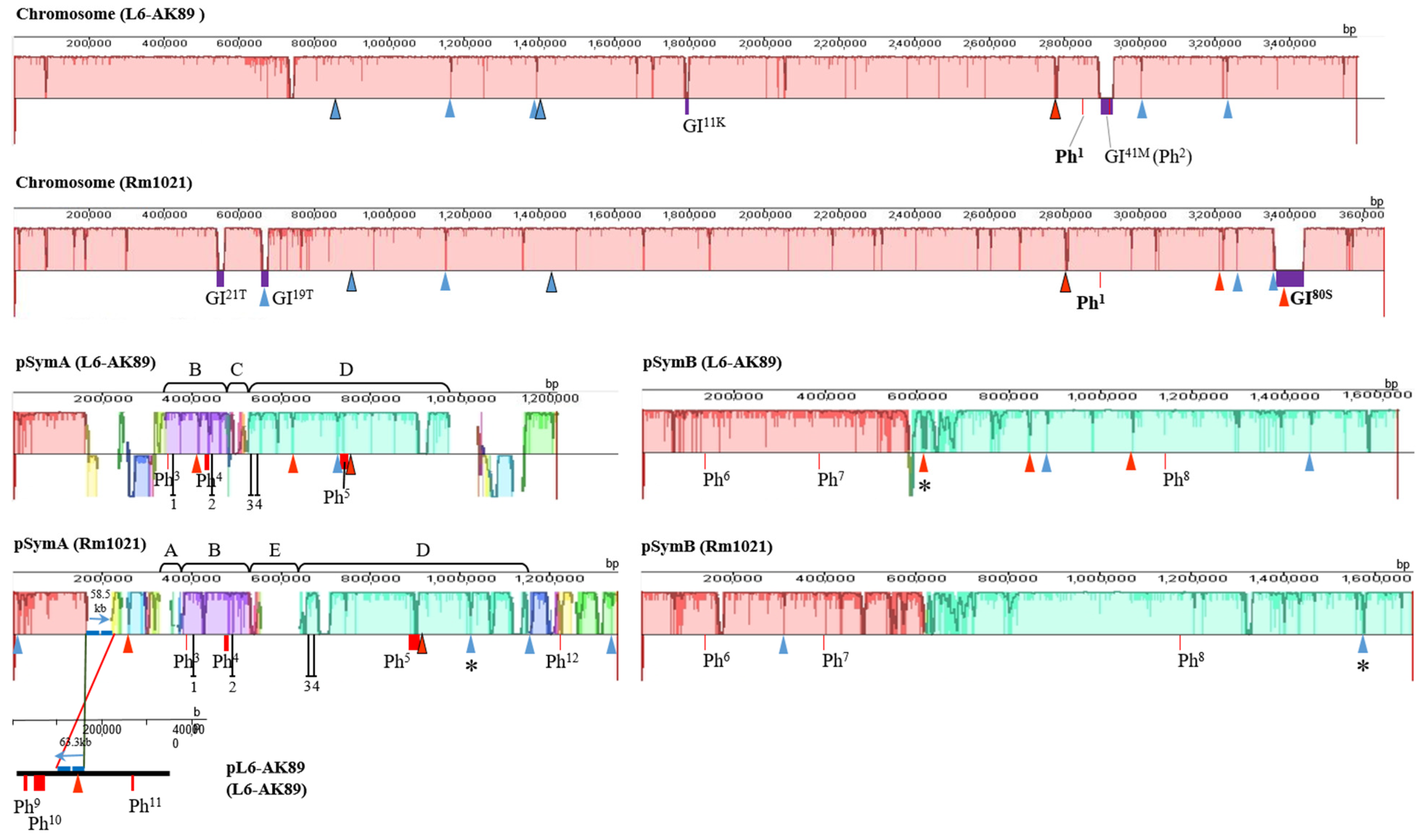 Agronomy 12 00766 g002 Agronomy 12 00766 g002