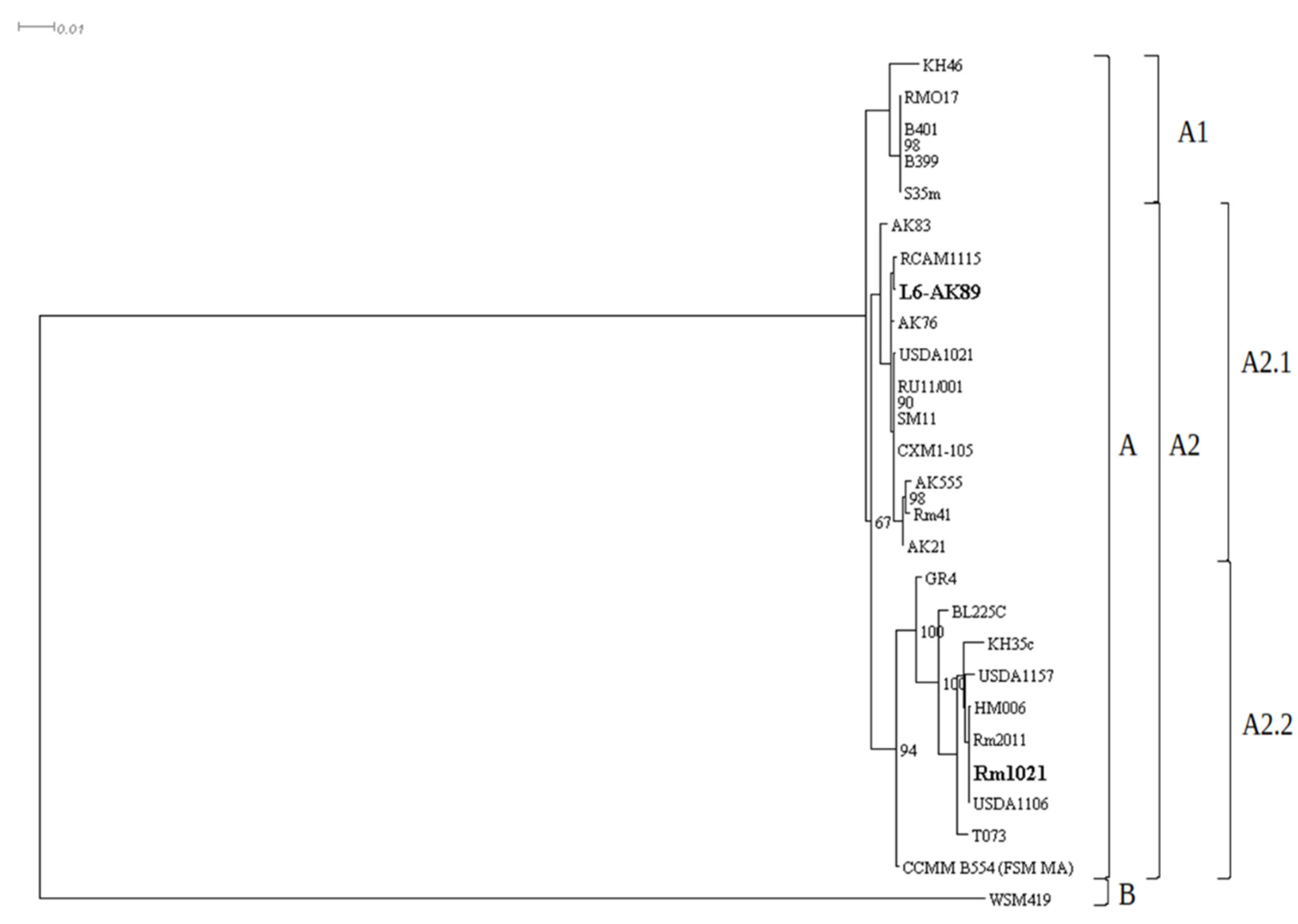 Agronomy 12 00766 g005 Agronomy 12 00766 g005