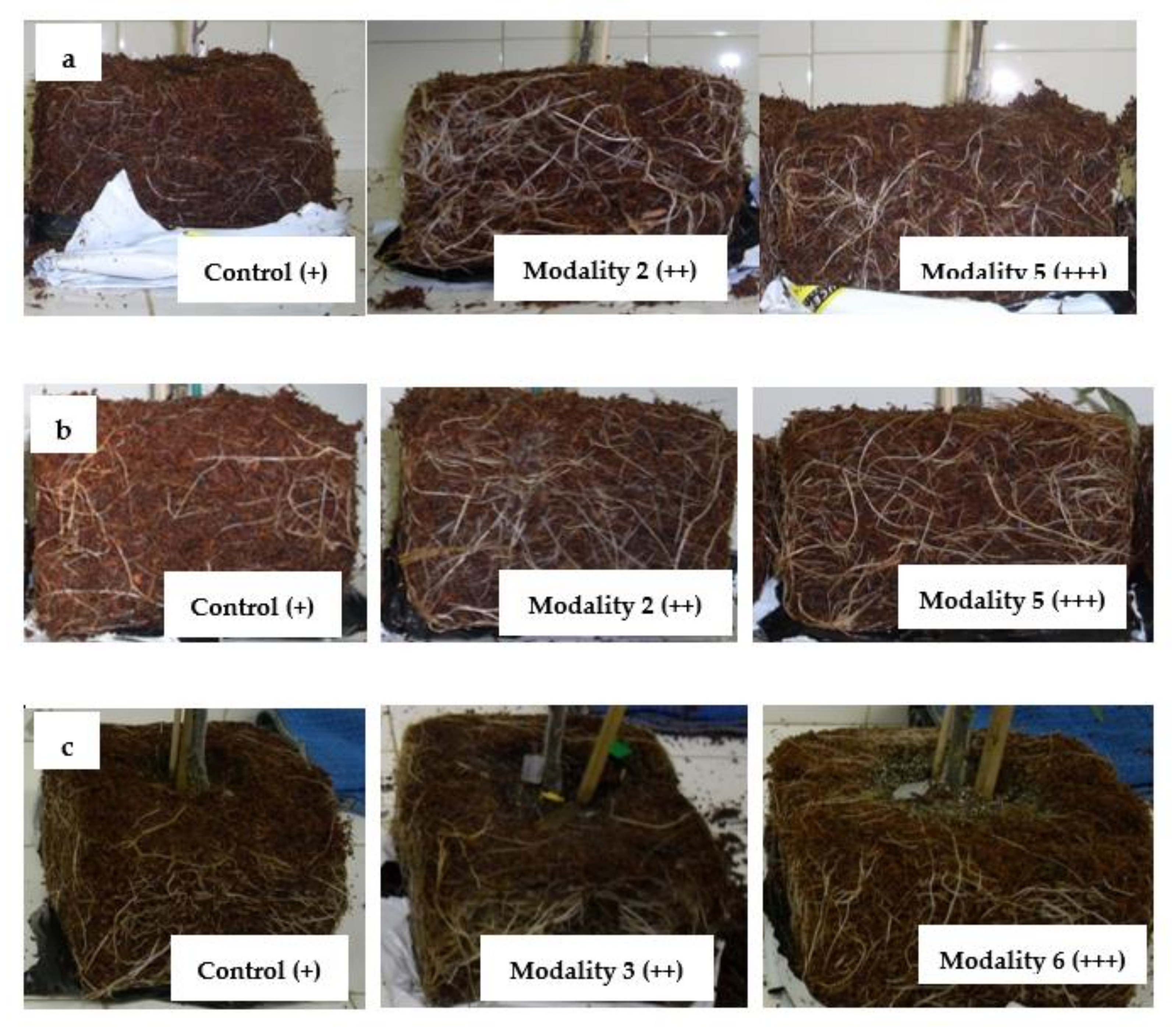 Agronomy 12 00767 g003 Agronomy 12 00767 g003