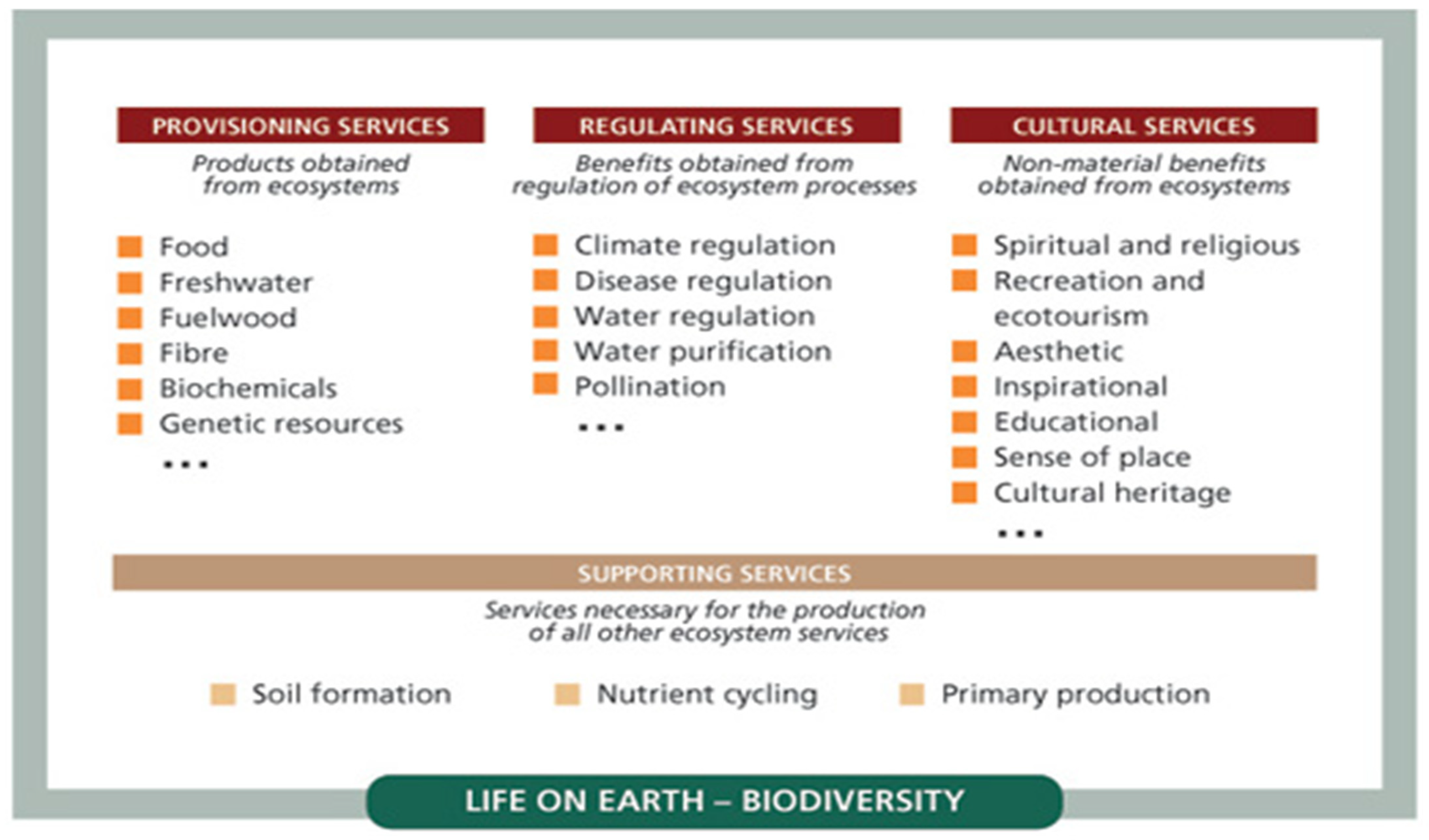 Agronomy 12 00769 g004