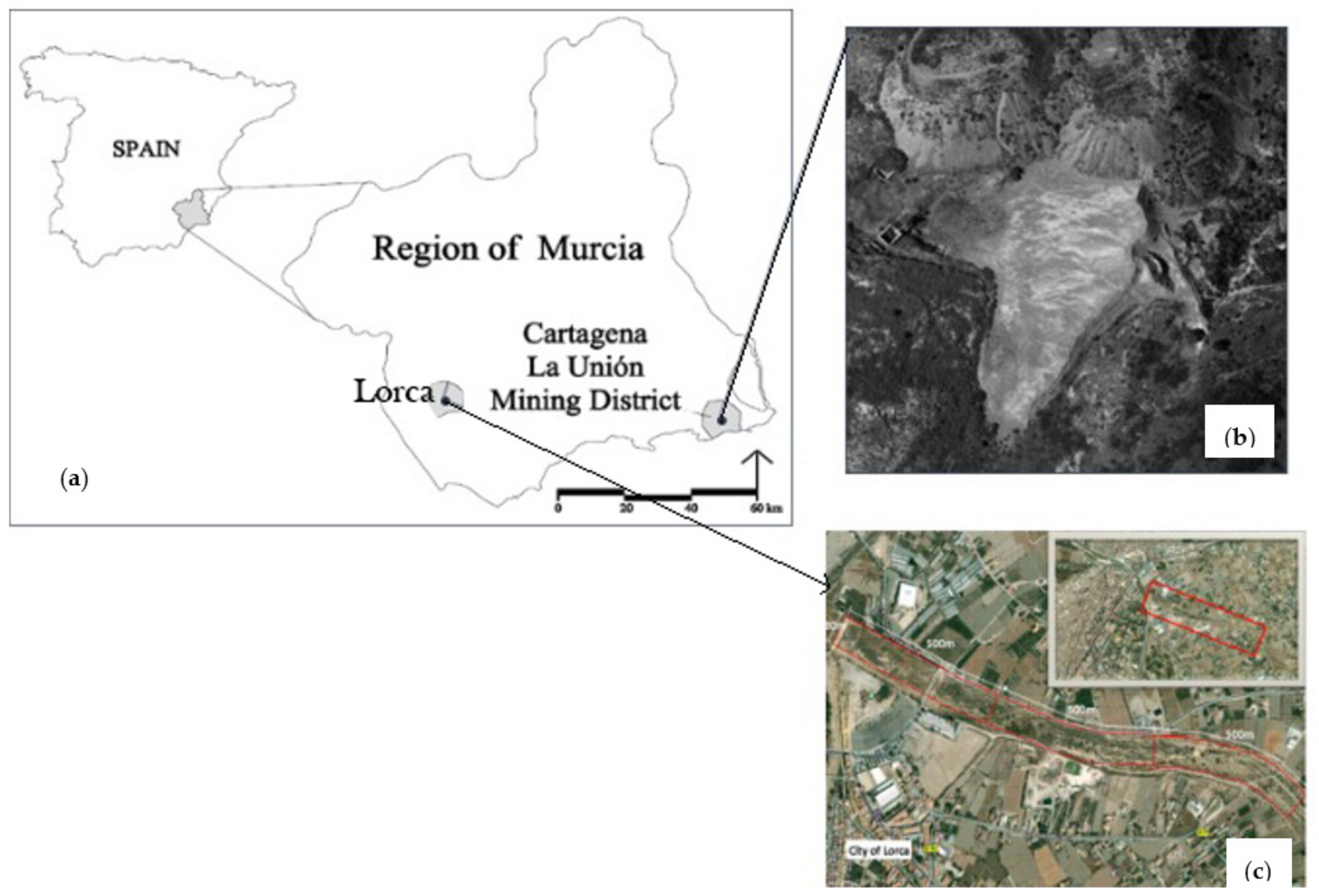 Agronomy 12 00775 g002