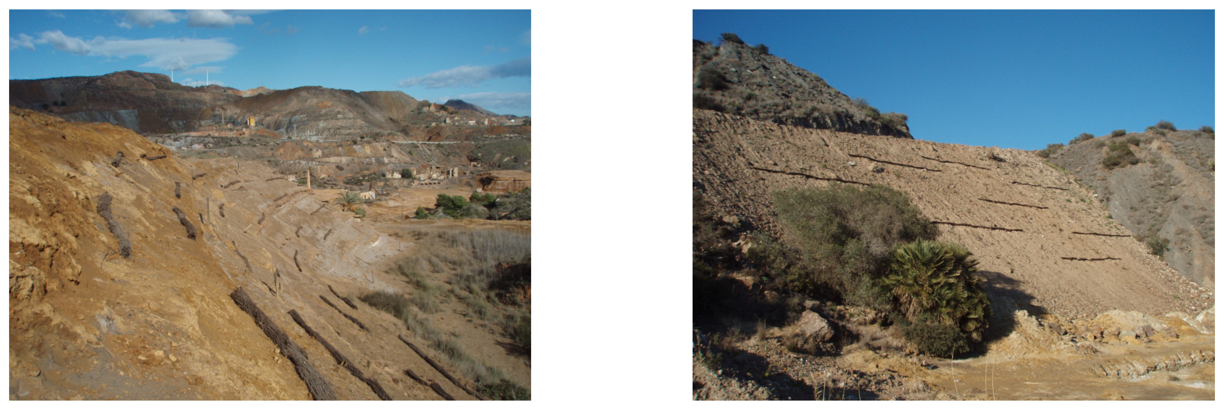 Agronomy 12 00775 g0a11