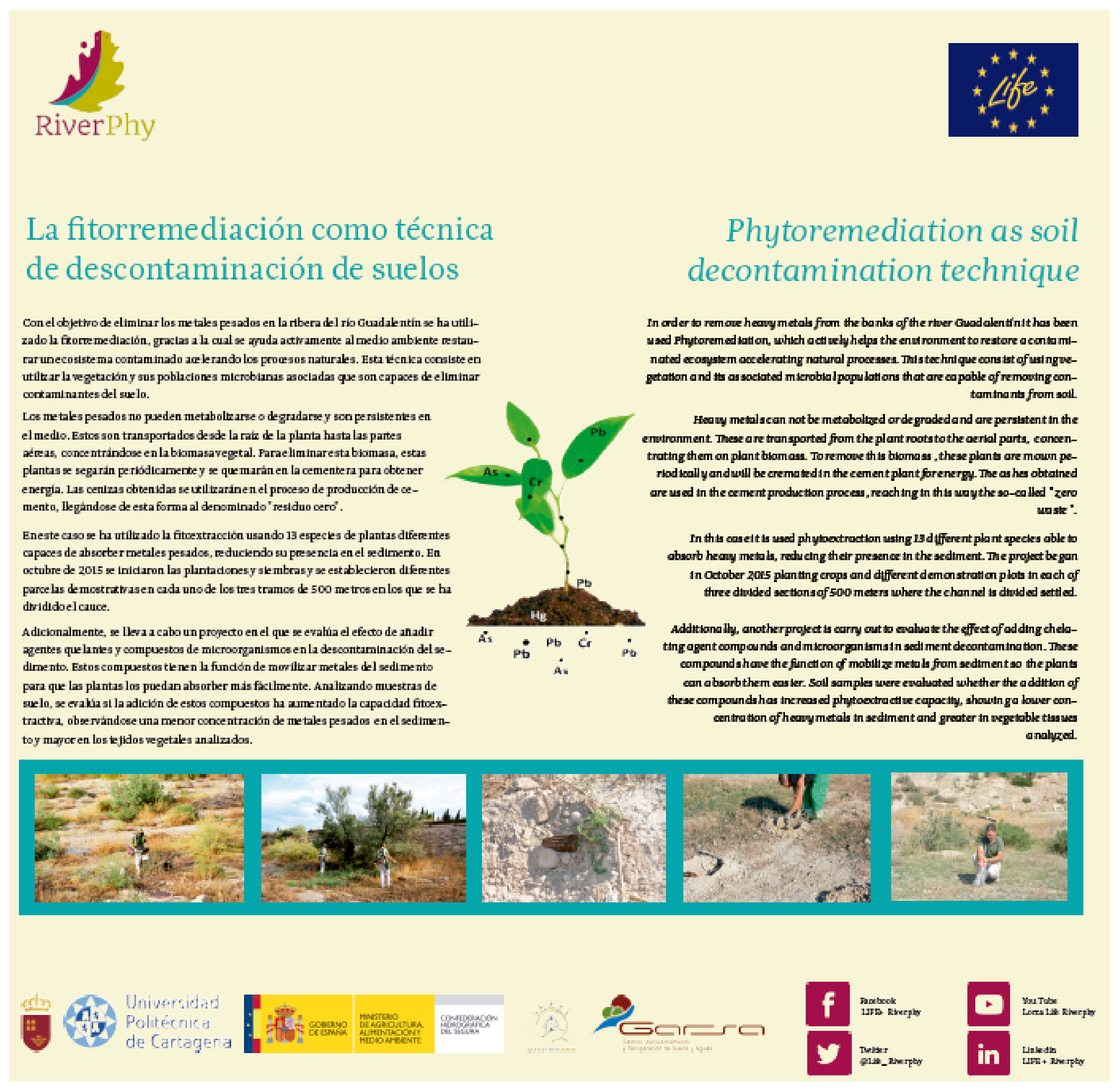 Agronomy 12 00775 g0a13