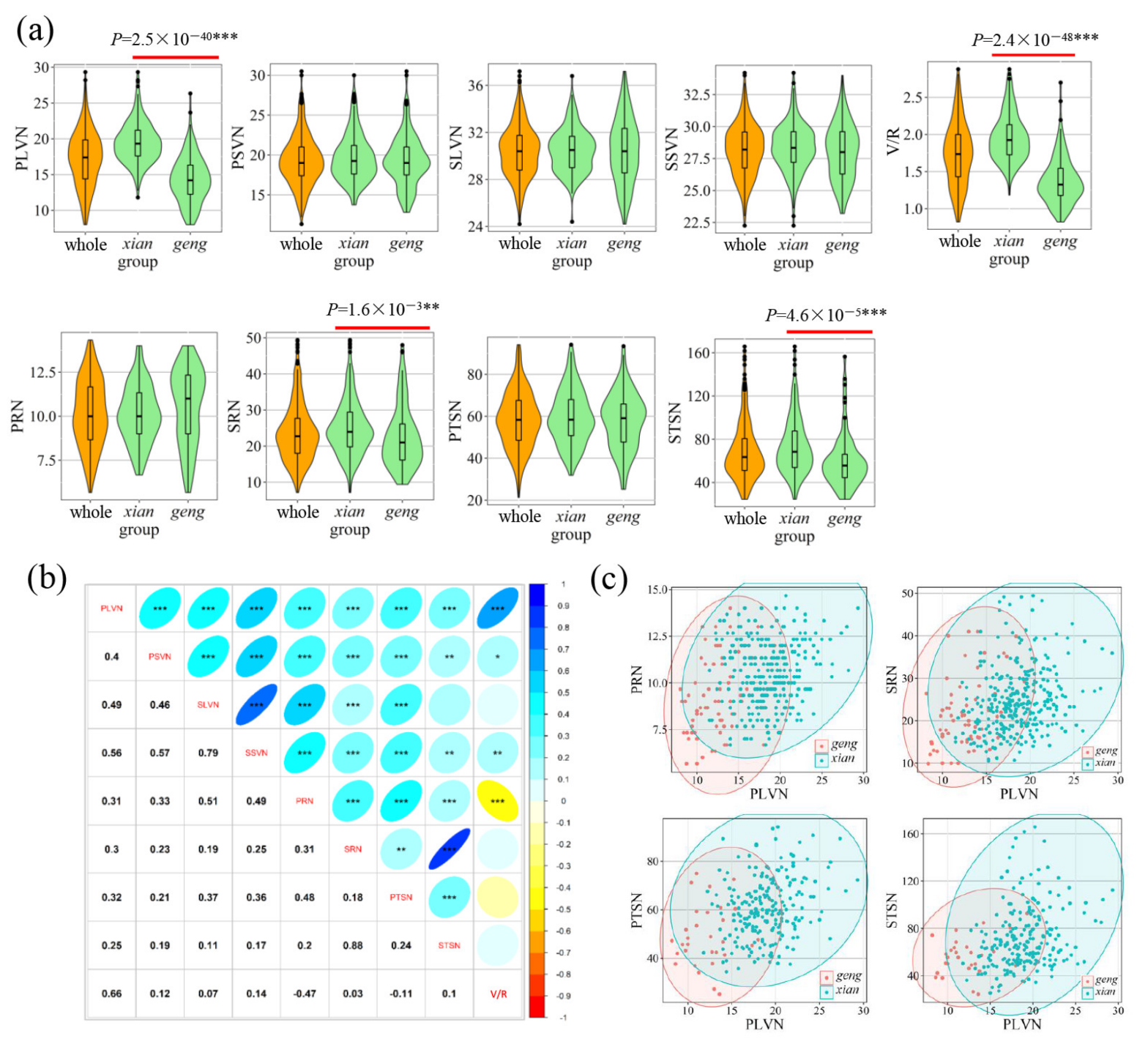 Agronomy 12 00776 g001 Agronomy 12 00776 g001