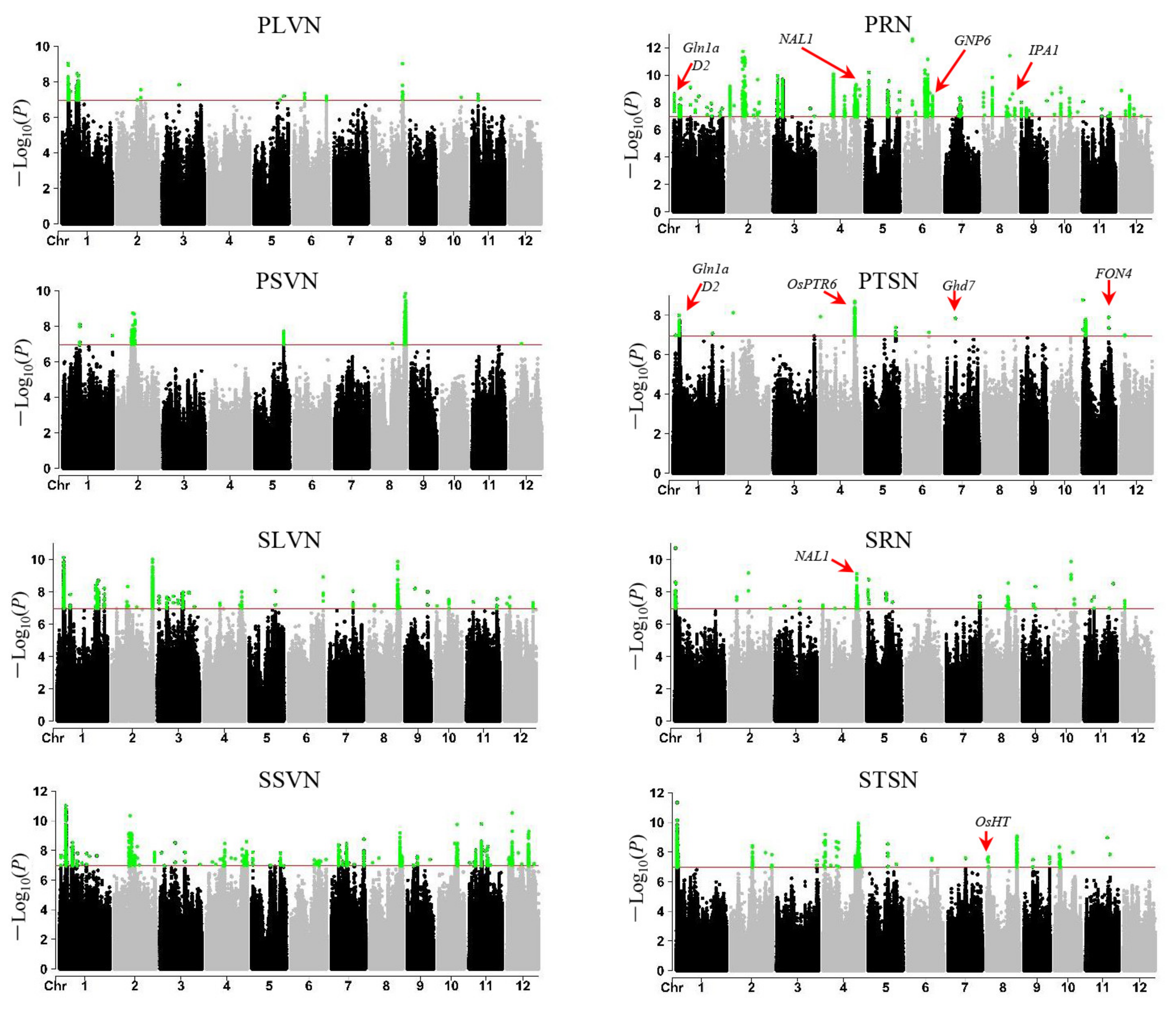 Agronomy 12 00776 g003 Agronomy 12 00776 g003