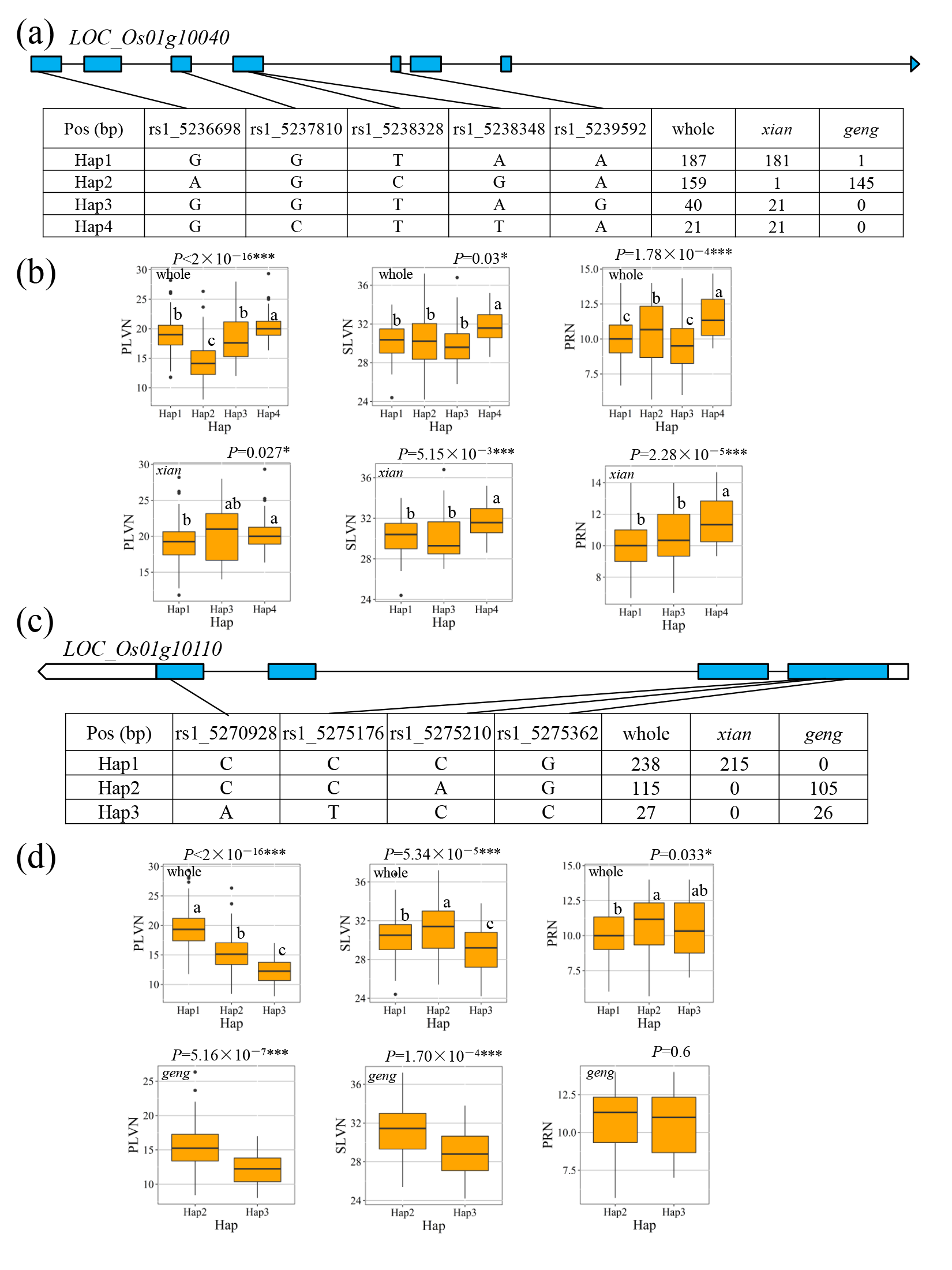 Agronomy 12 00776 g006 Agronomy 12 00776 g006