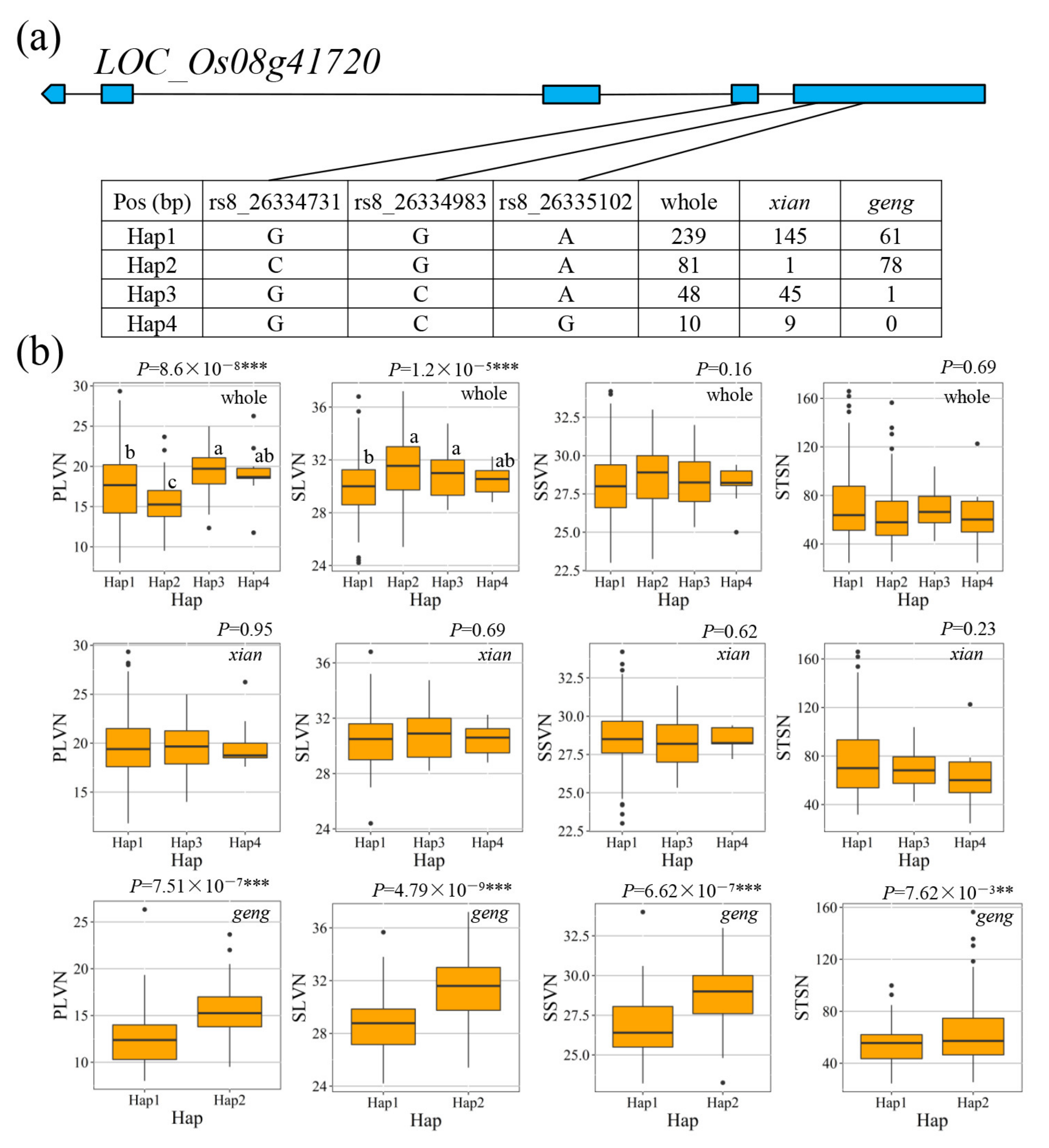 Agronomy 12 00776 g008 Agronomy 12 00776 g008