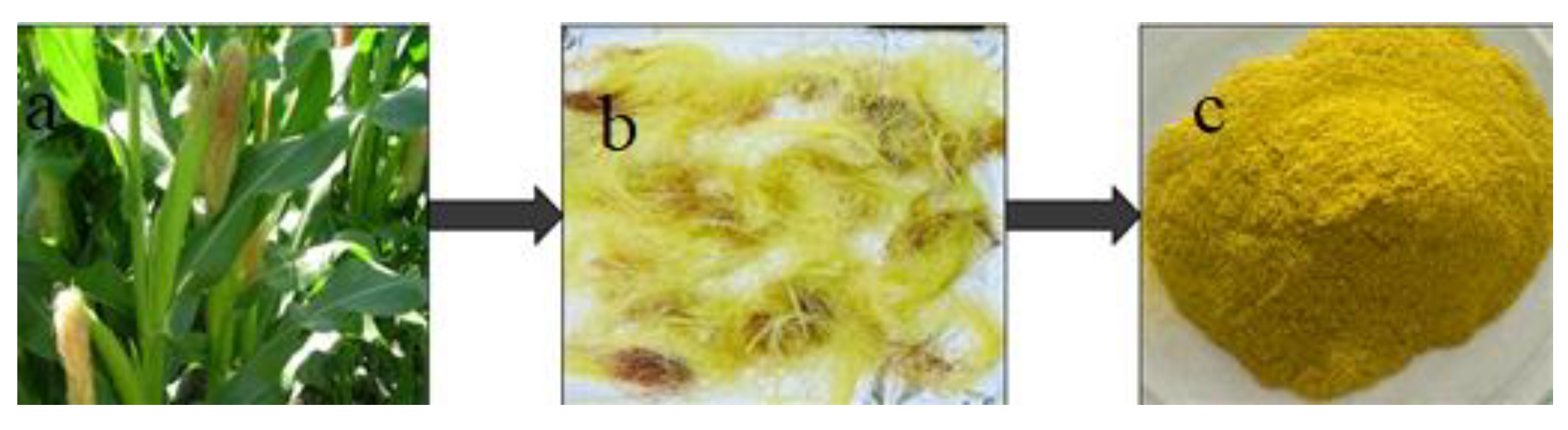 Agronomy 12 00777 g001