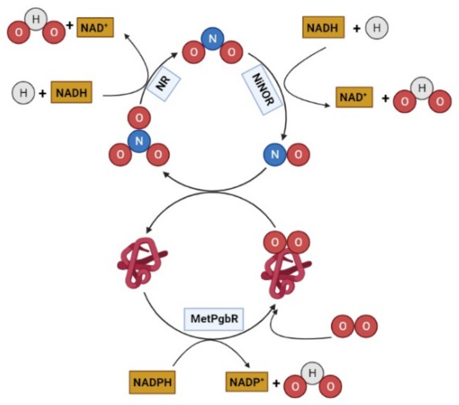 Agronomy 12 00780 g002 Agronomy 12 00780 g002