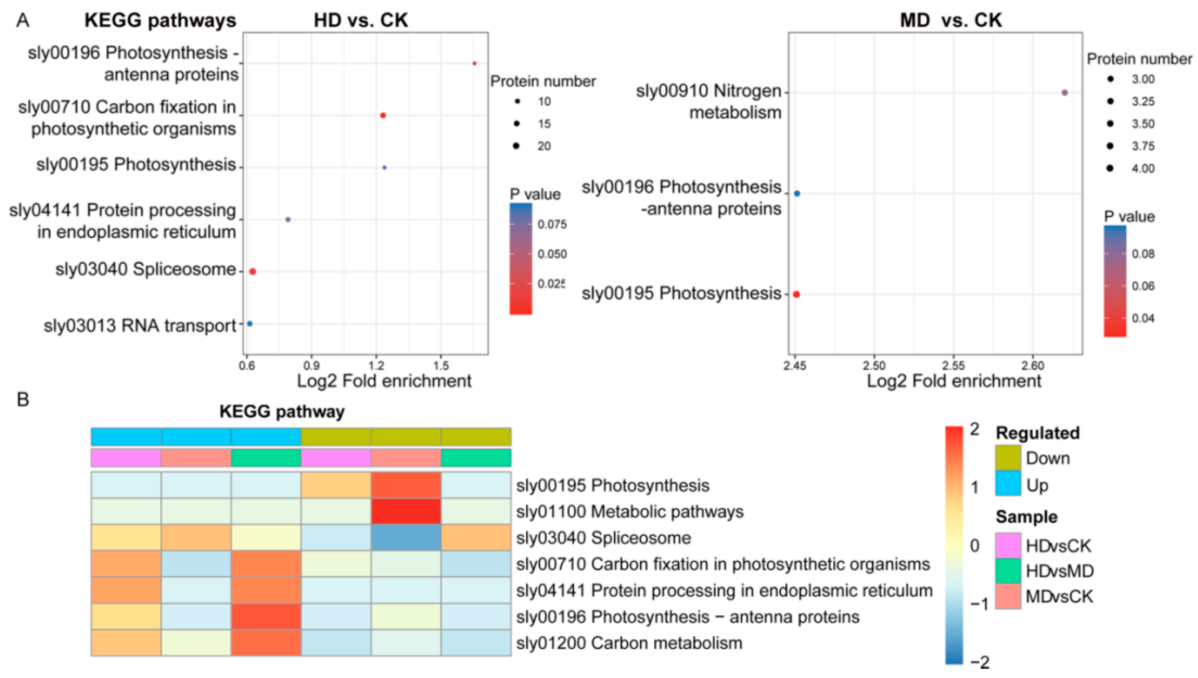 Agronomy 12 00781 g004 550
