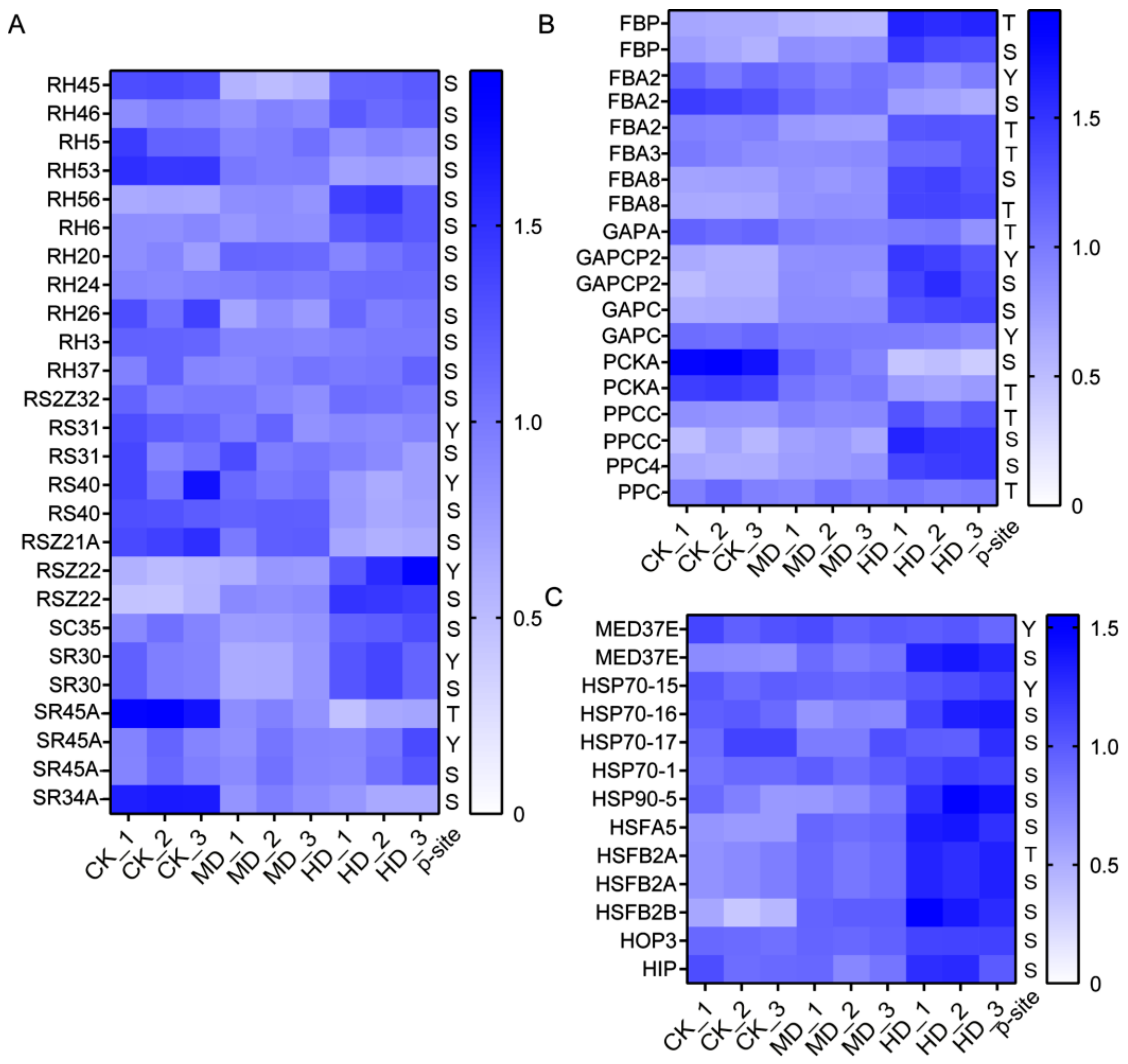 Agronomy 12 00781 g007 550