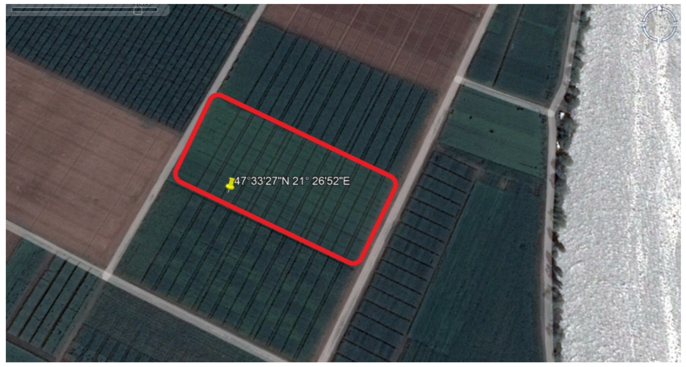 Agronomy 12 00785 g001