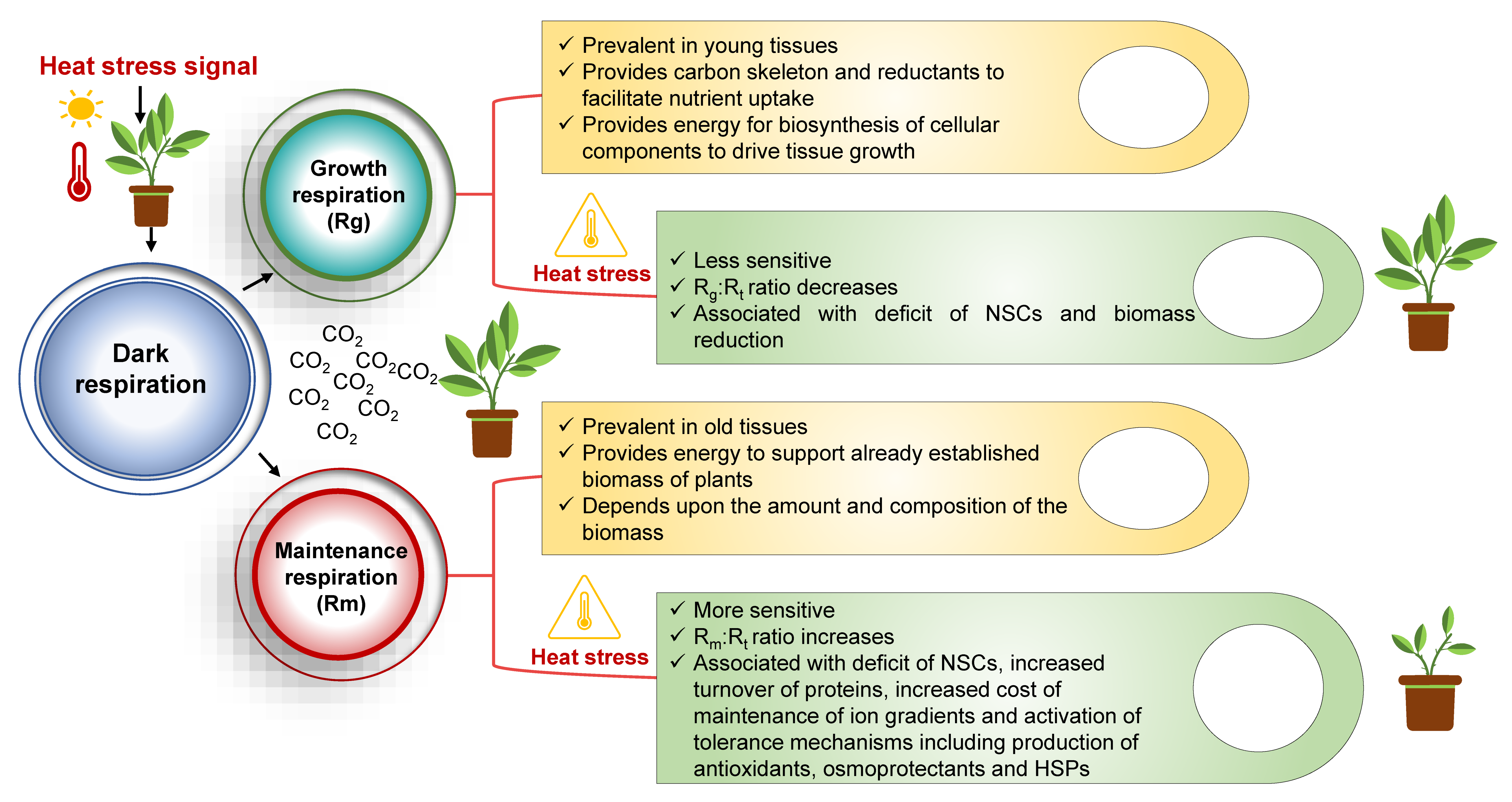 Agronomy 12 00806 g001