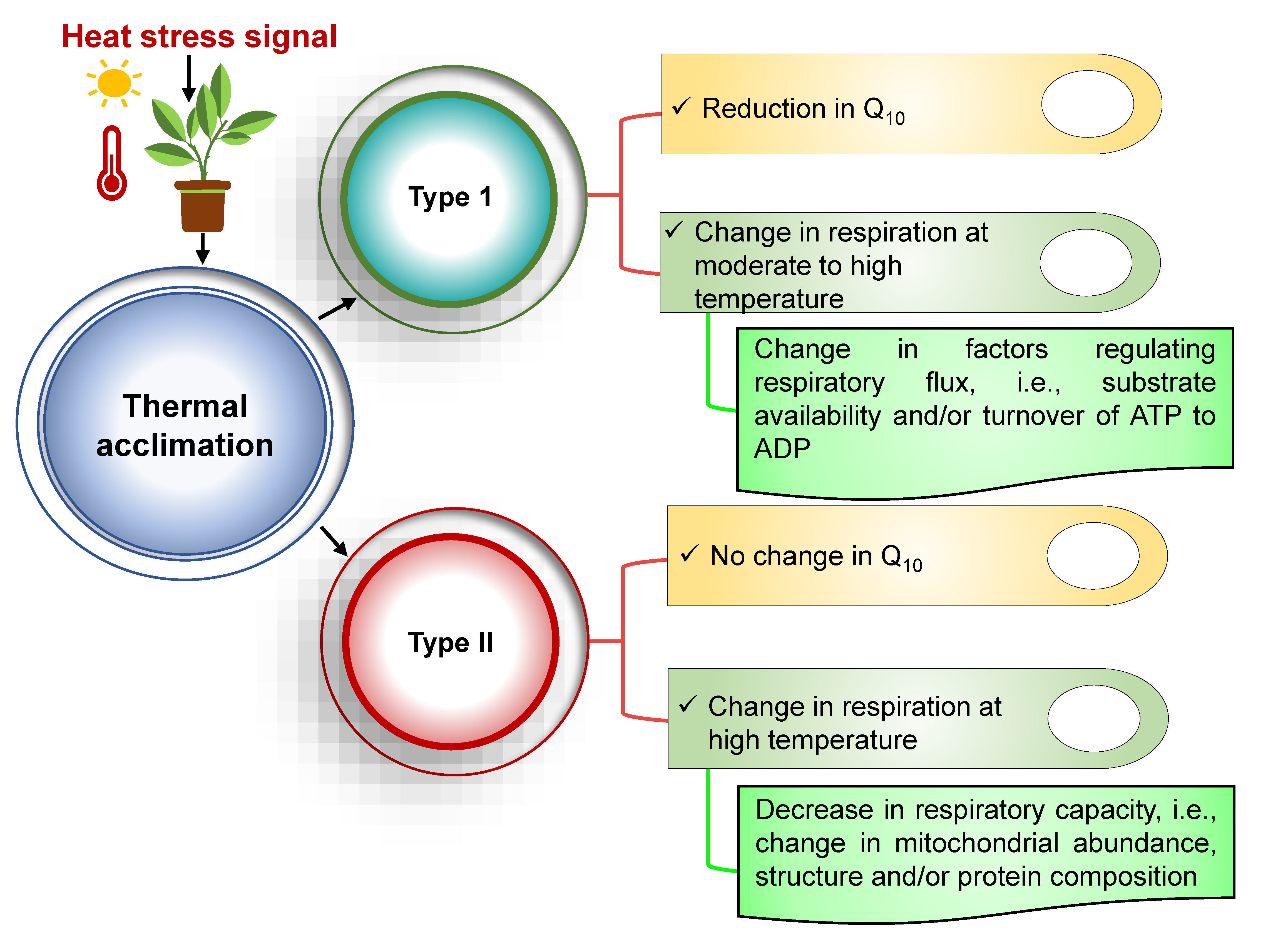 Agronomy 12 00806 g002
