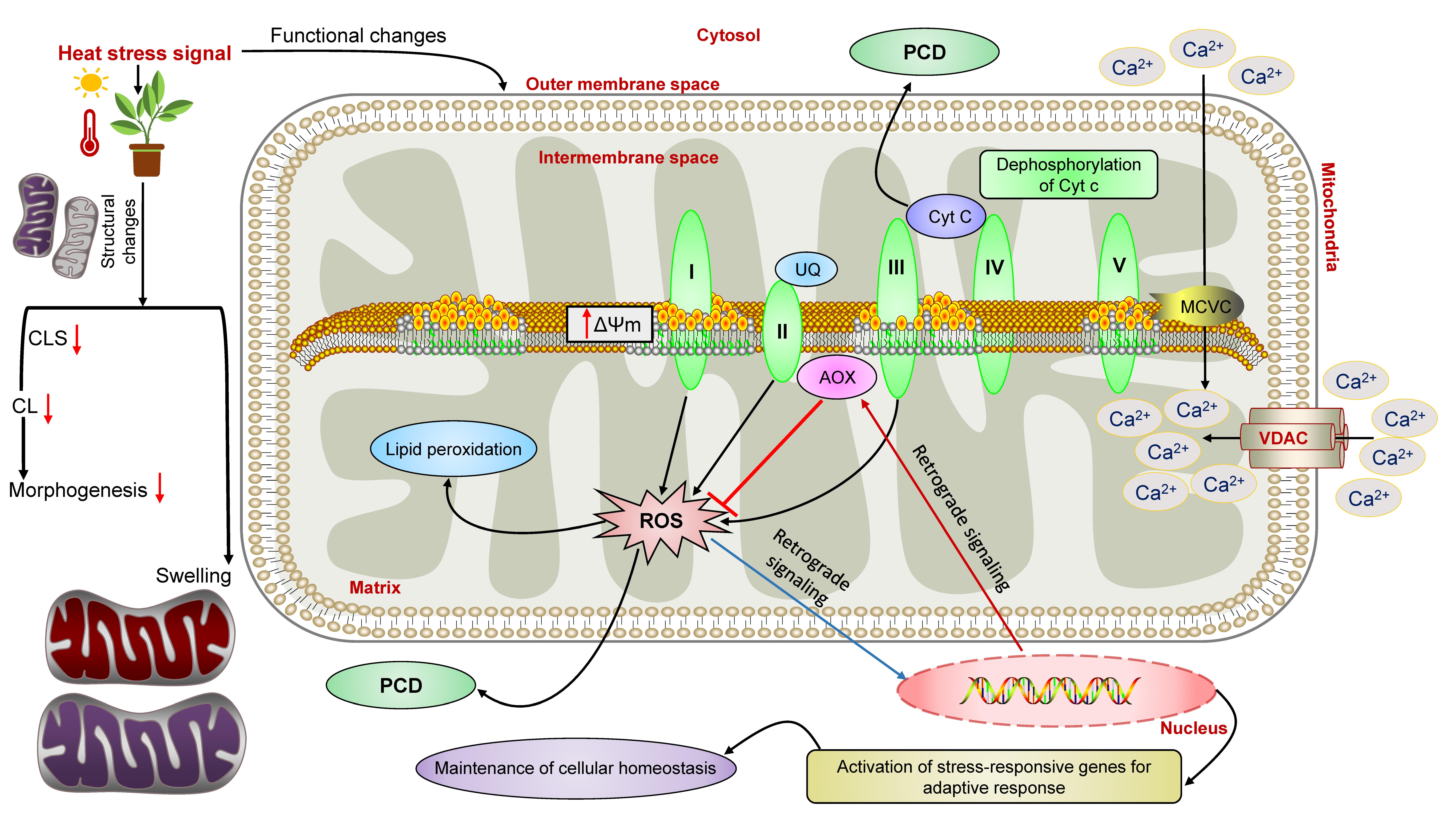 Agronomy 12 00806 g003