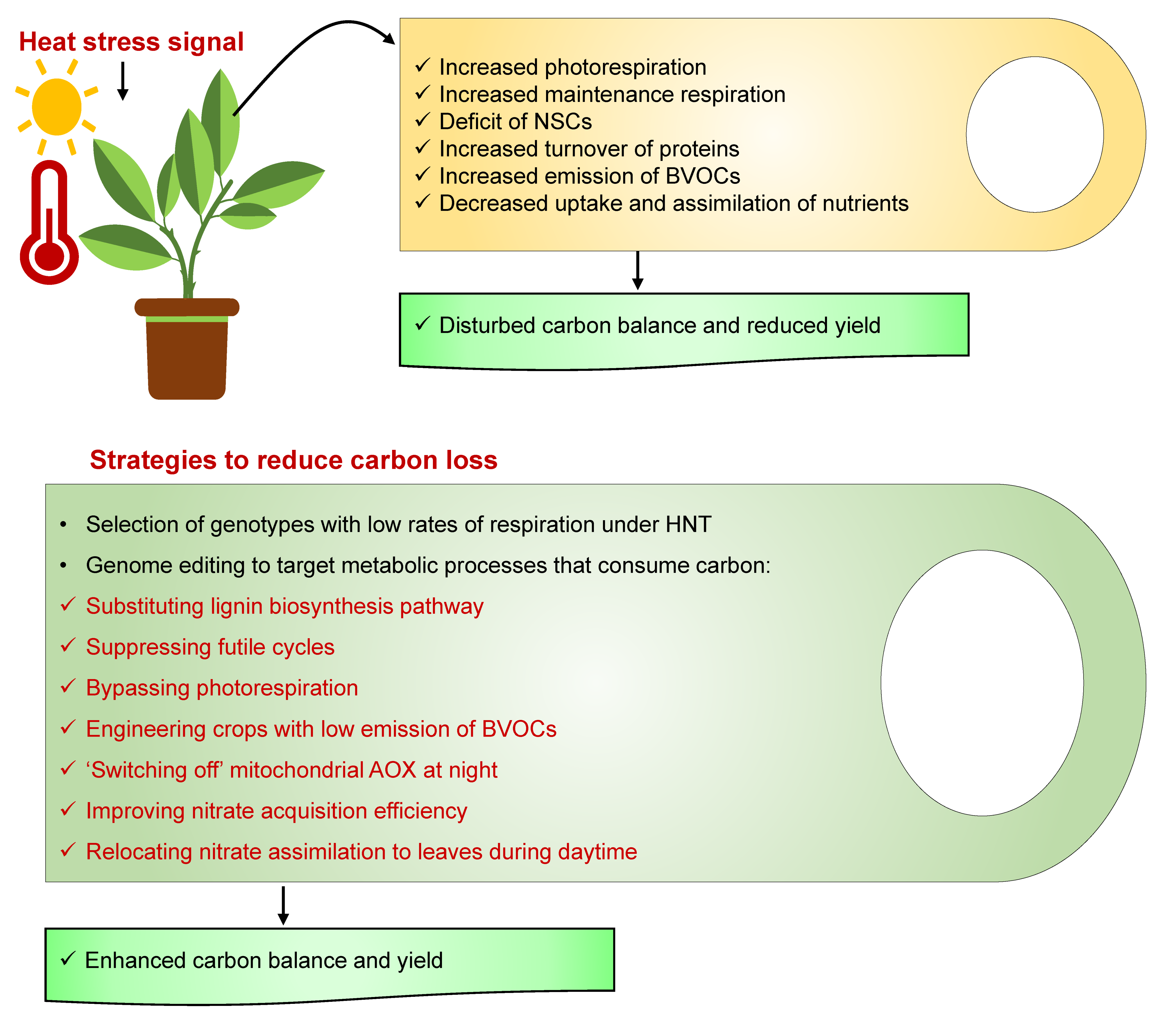 Agronomy 12 00806 g004