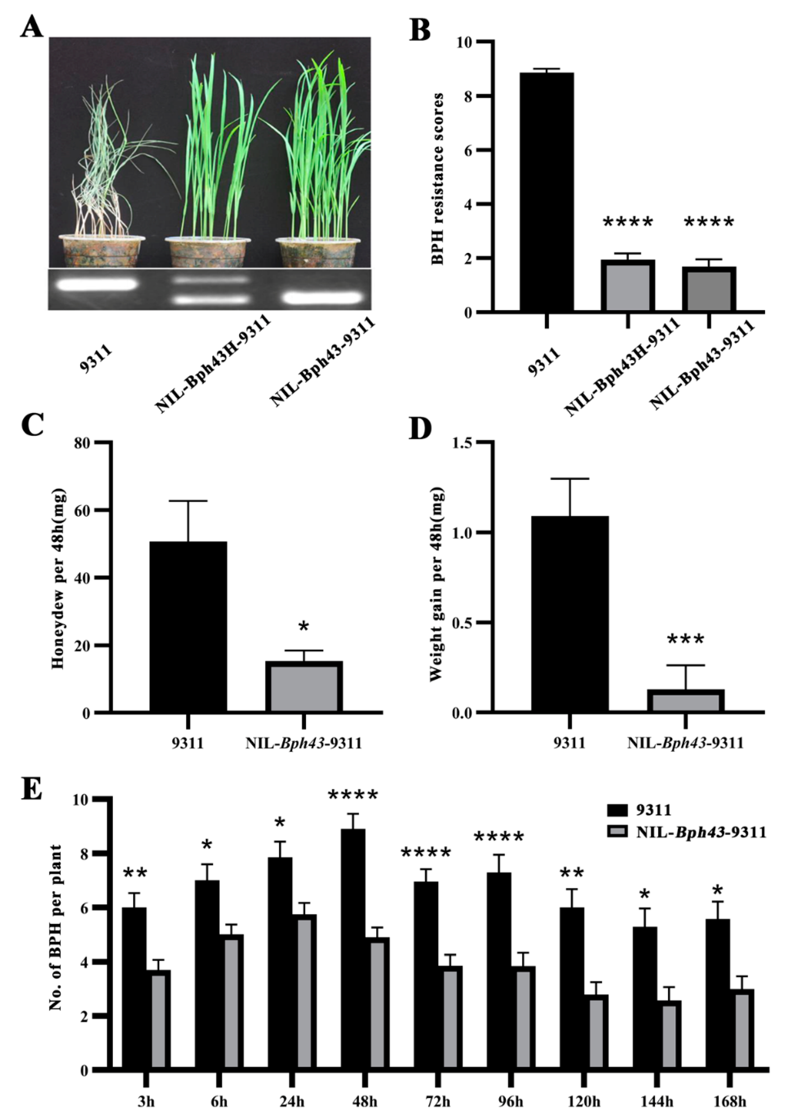 Agronomy 12 00808 g003