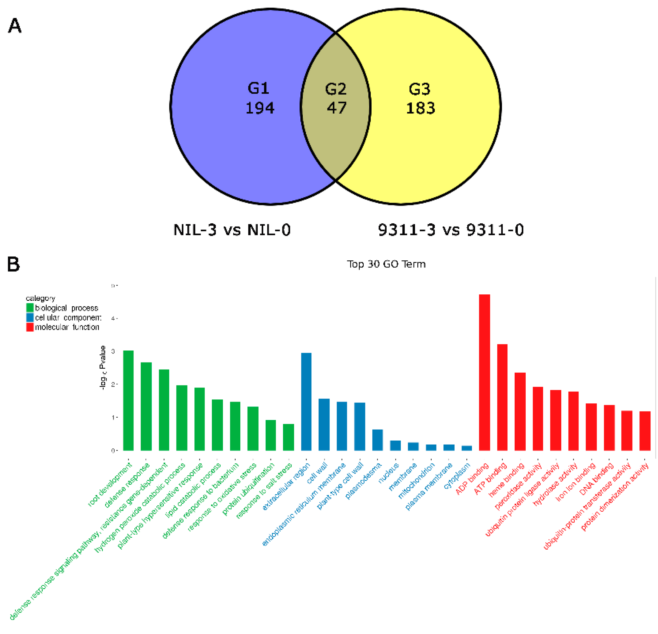 Agronomy 12 00808 g004