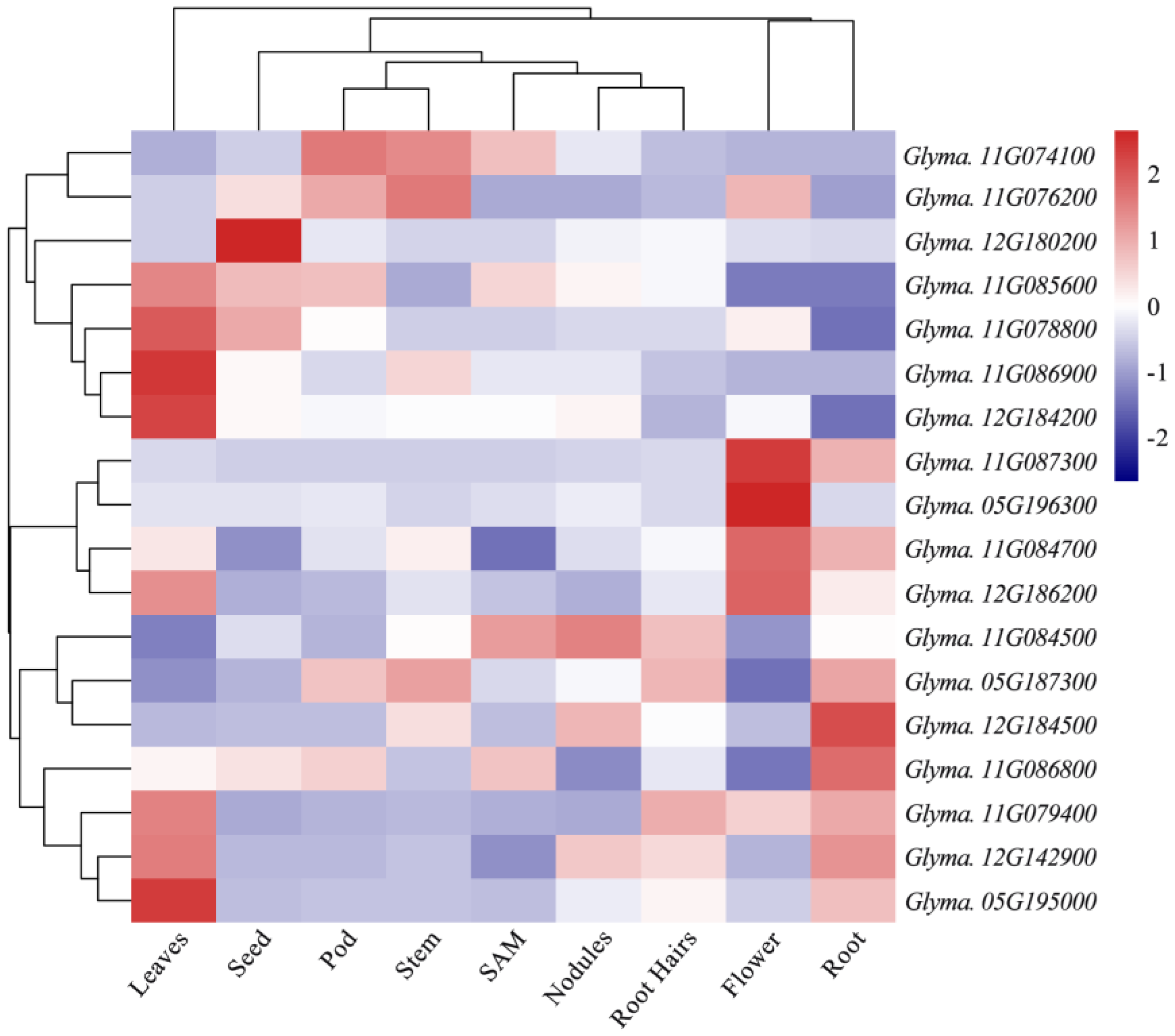 Agronomy 12 00817 g004