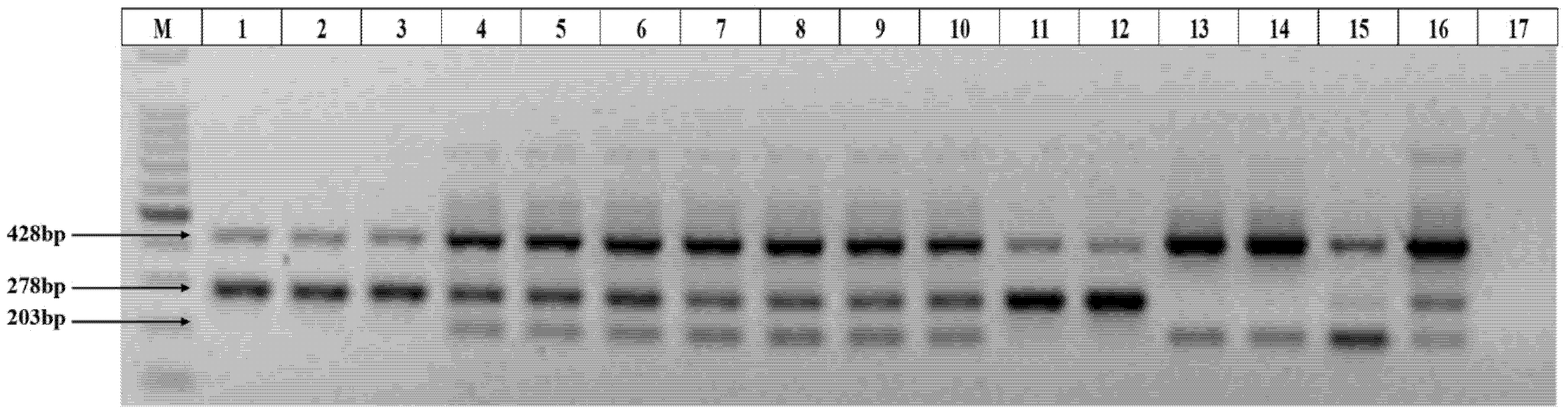 Agronomy 12 00819 g001 550