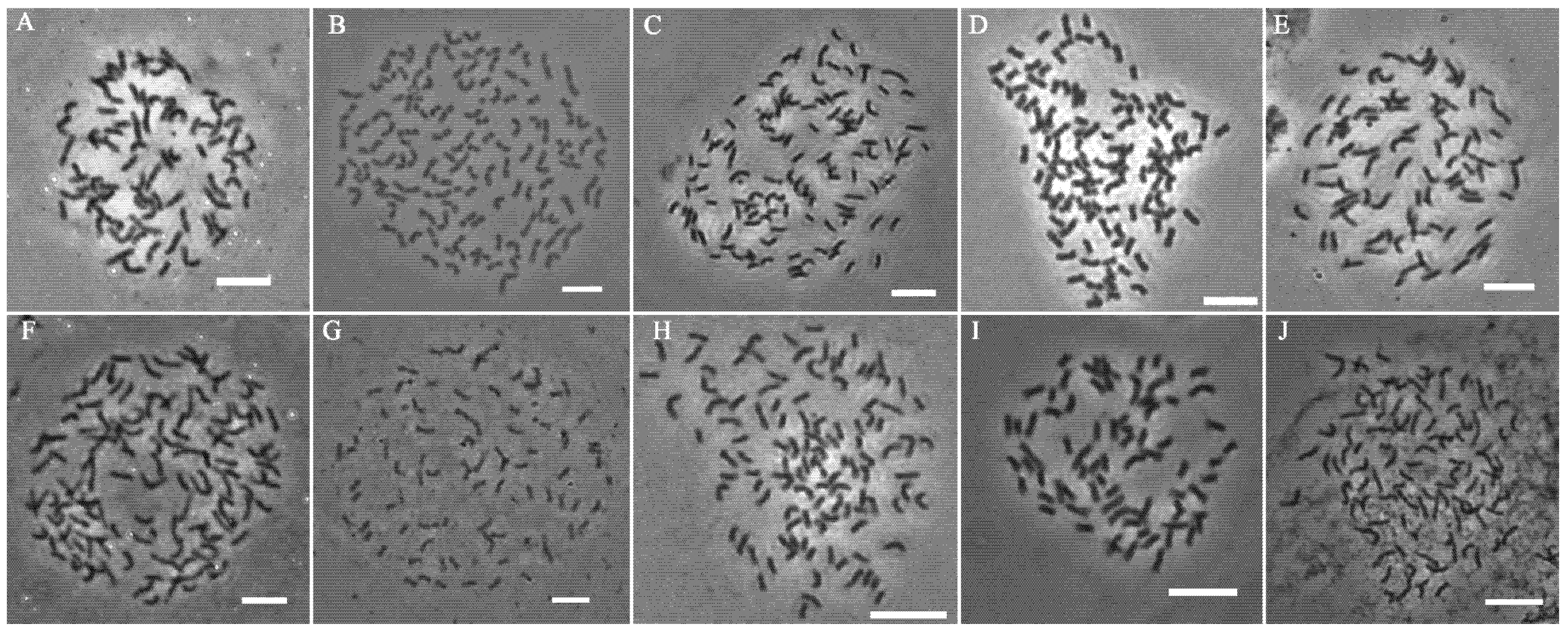 Agronomy 12 00819 g002 550