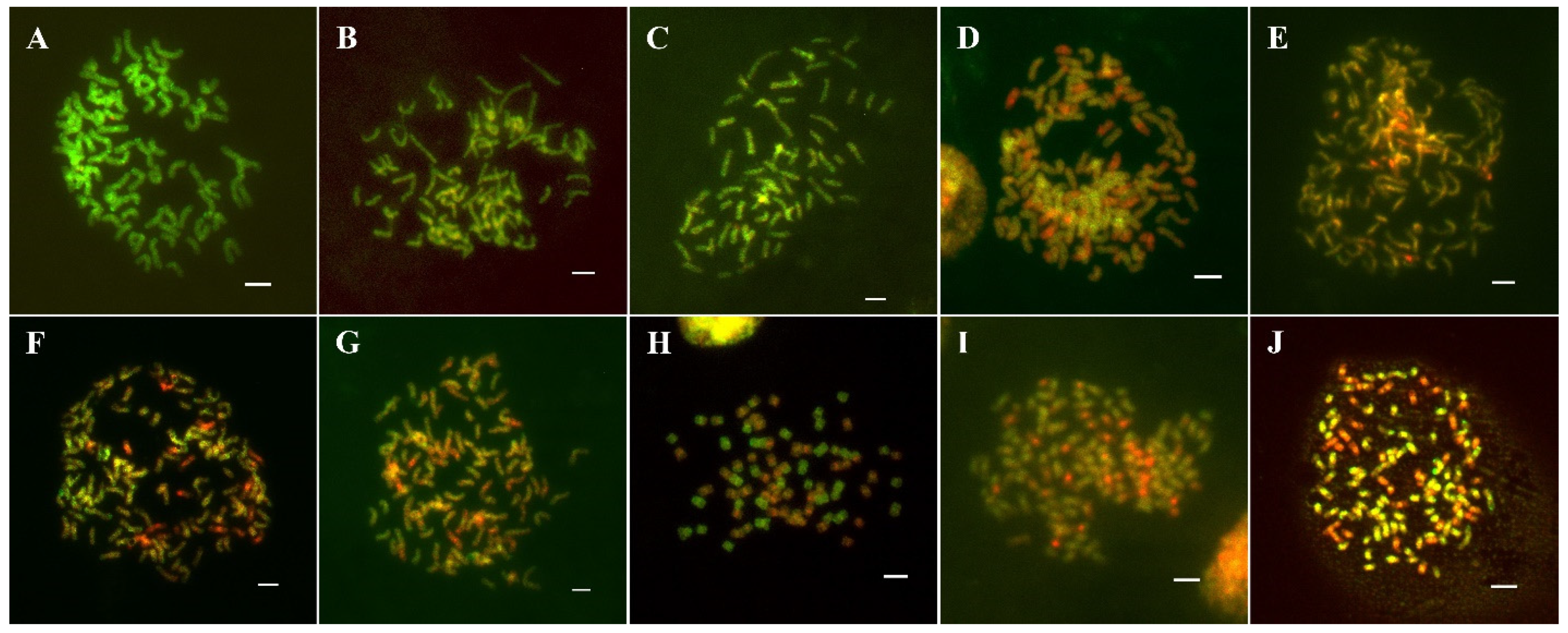 Agronomy 12 00819 g003 550