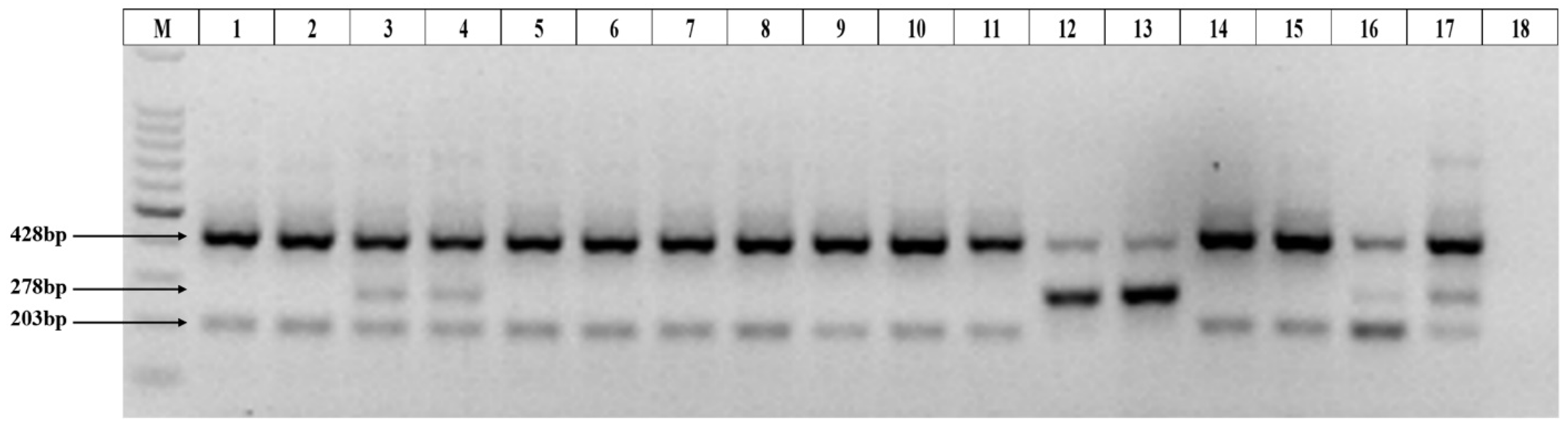 Agronomy 12 00819 g004 550