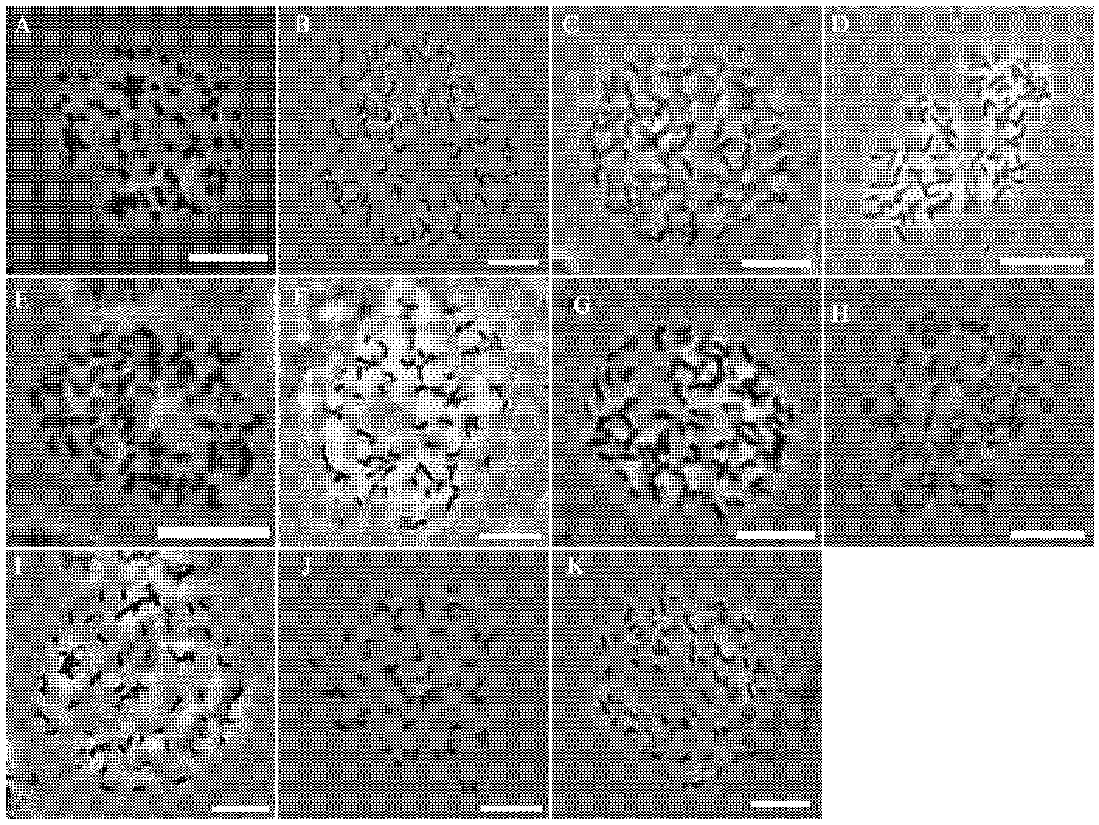 Agronomy 12 00819 g005 550