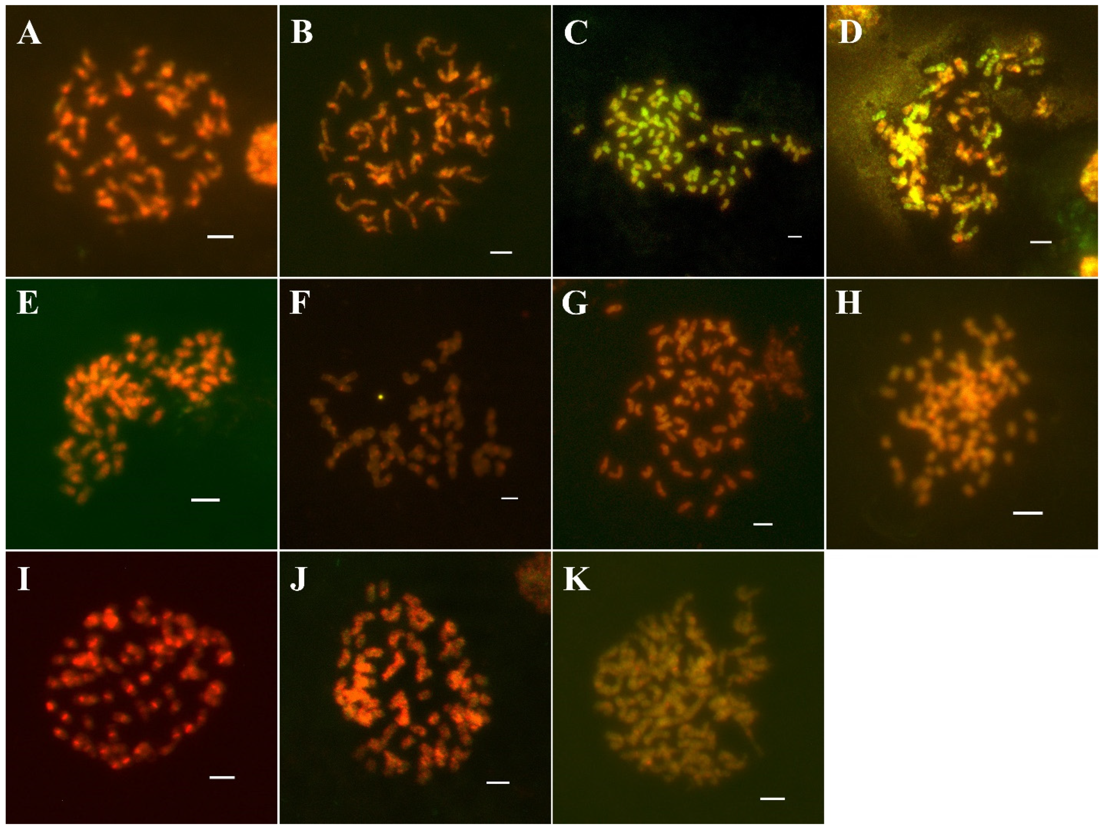 Agronomy 12 00819 g006 550