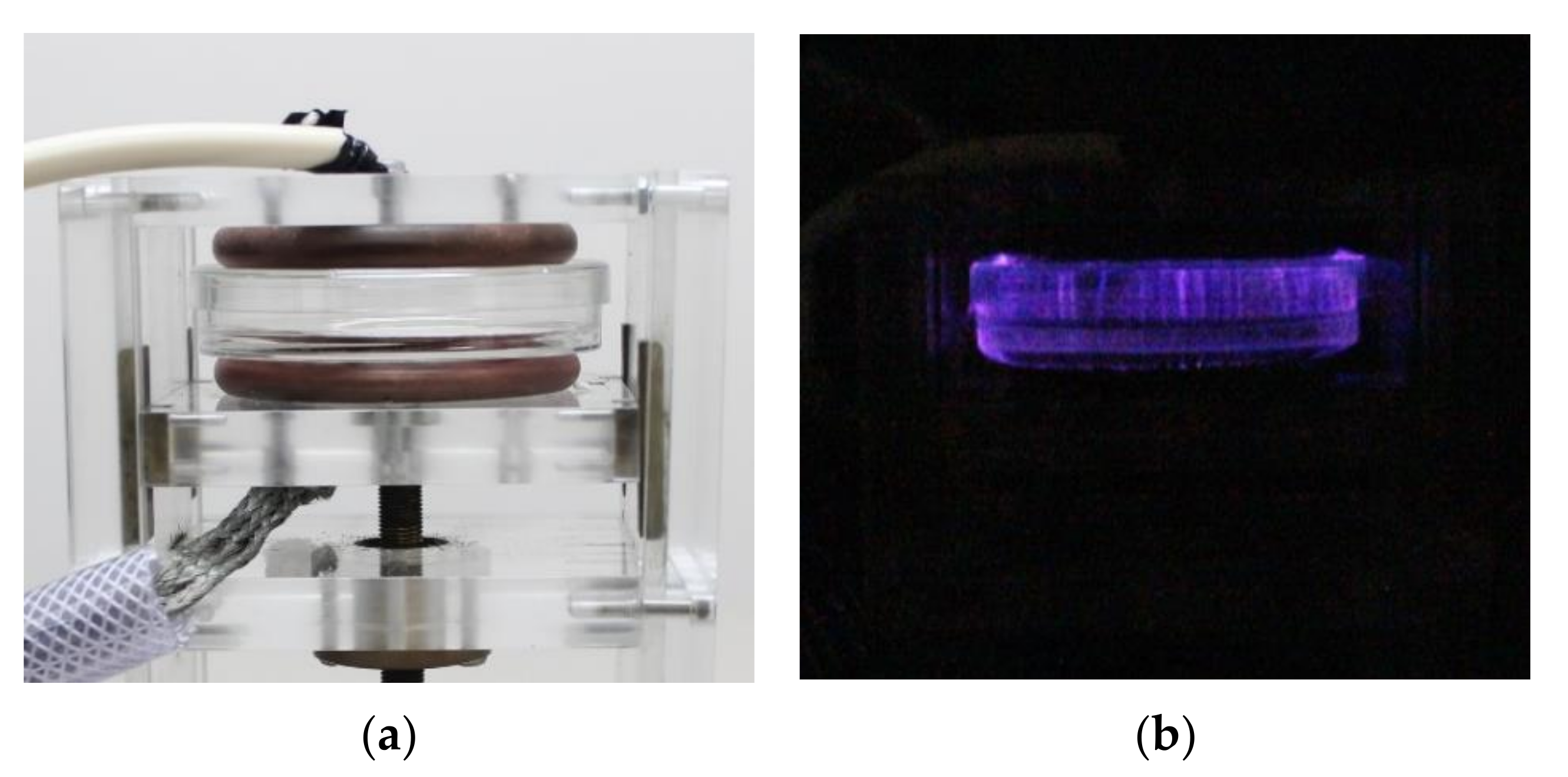 Agronomy 12 00822 g003 550