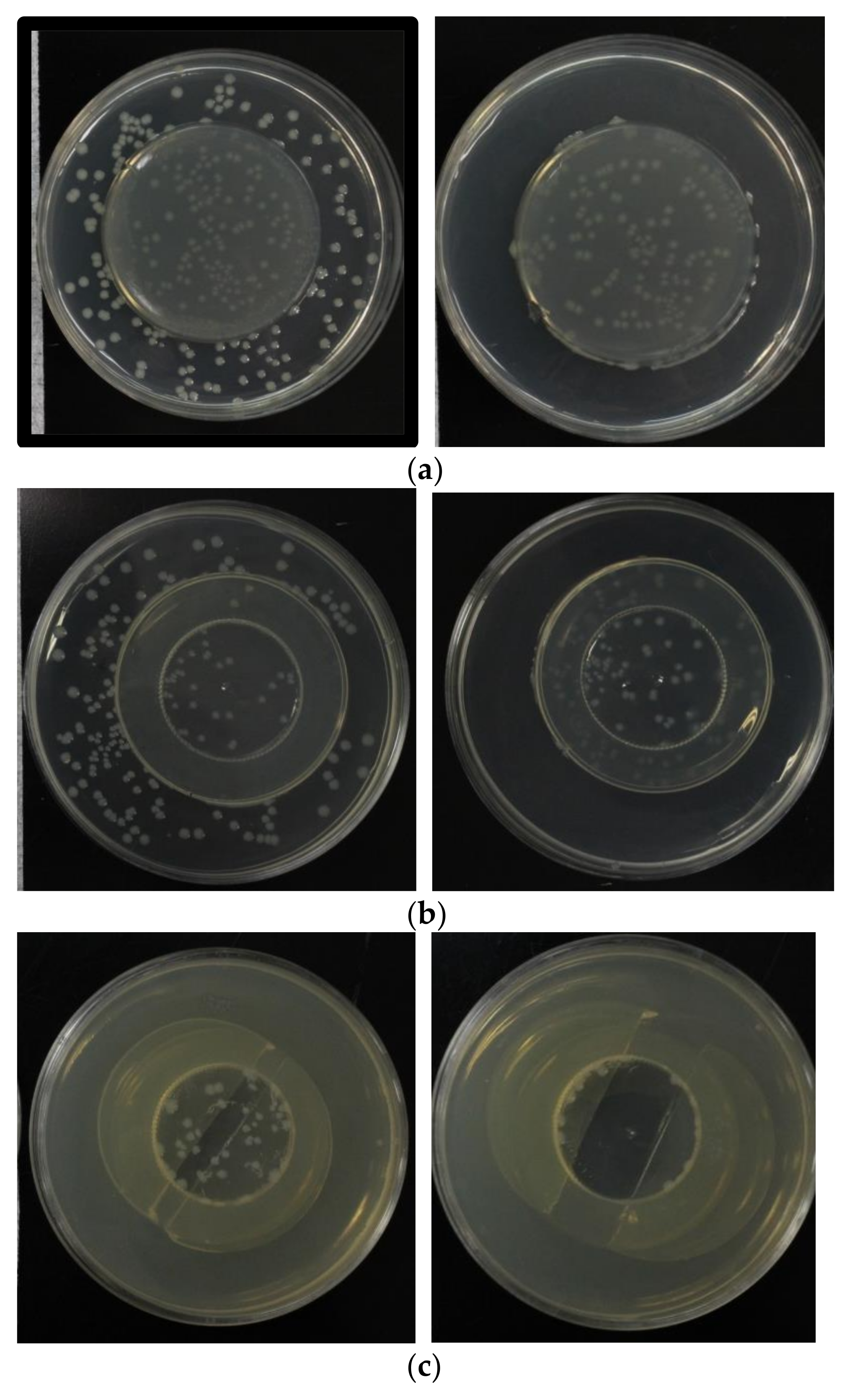 Agronomy 12 00822 g009 550