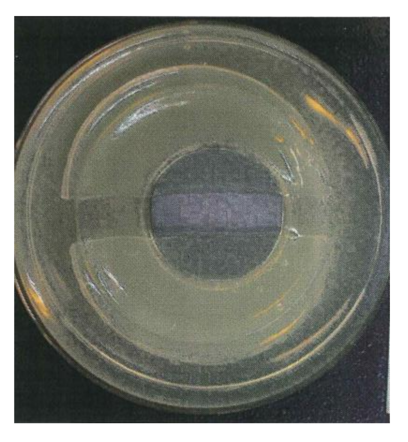 Agronomy 12 00822 g012 550