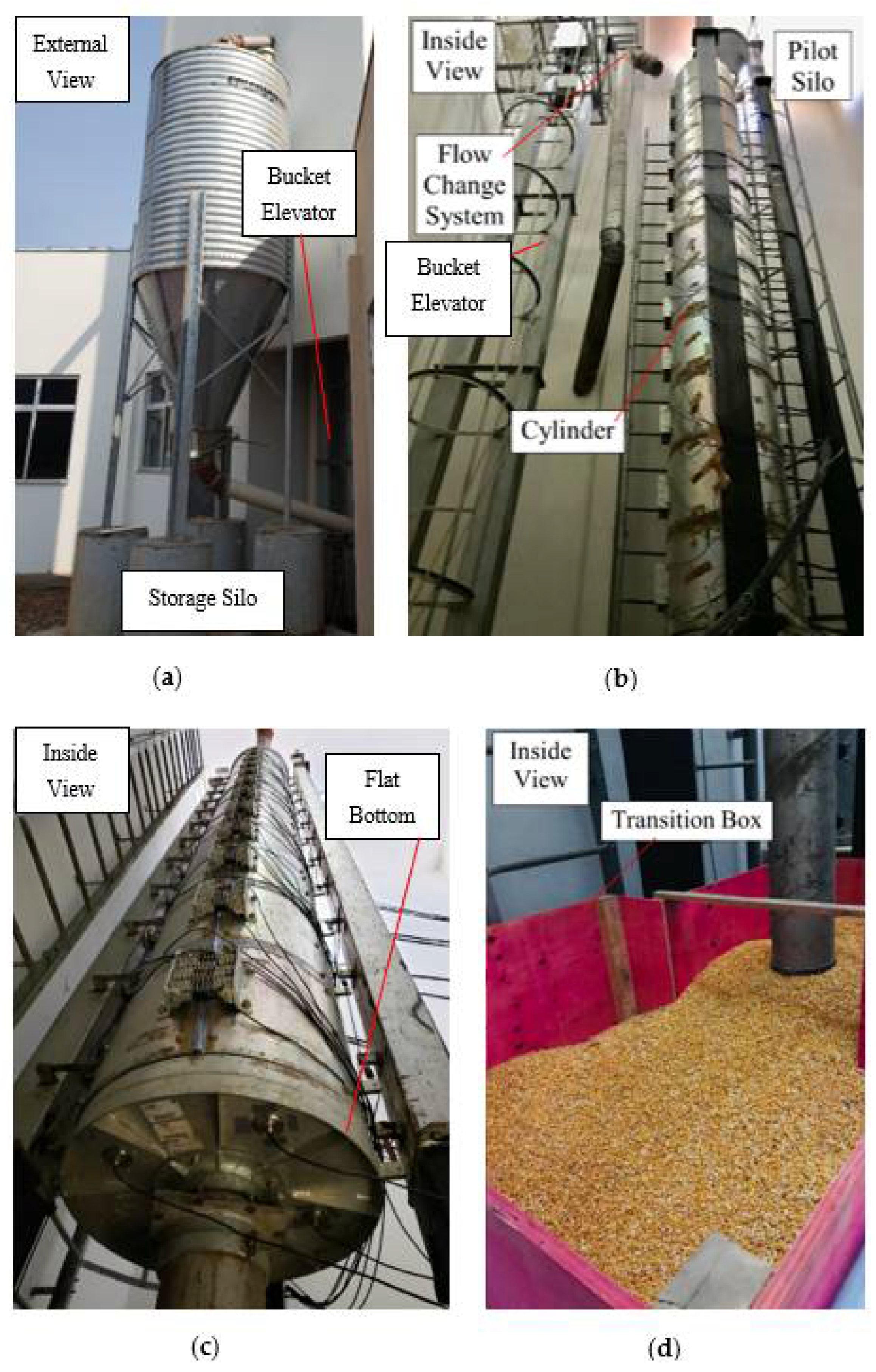 Agronomy 12 00830 g001