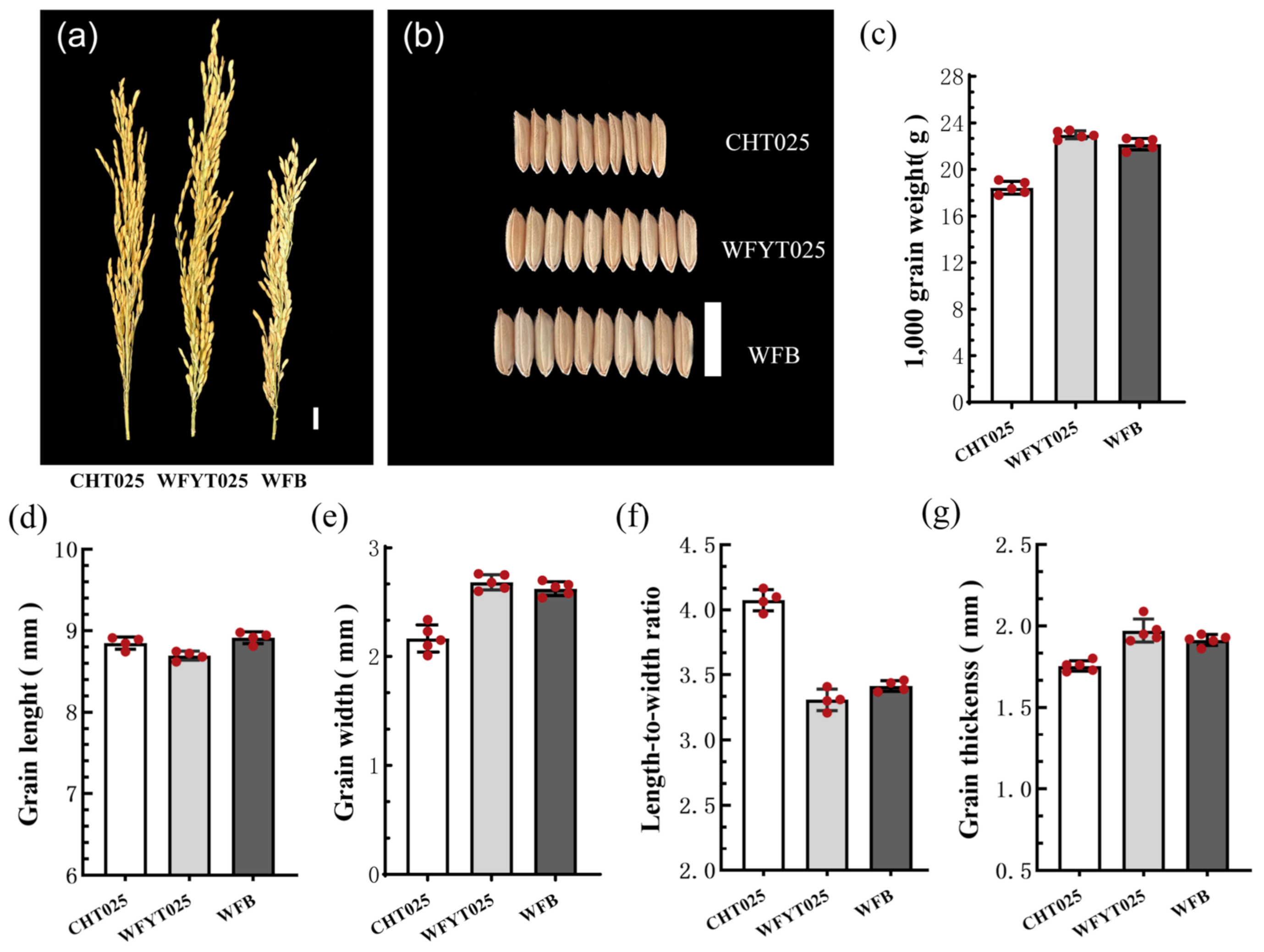 Agronomy 12 00835 g001