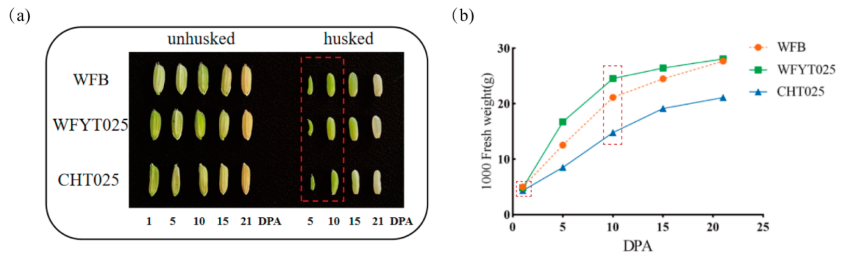 Agronomy 12 00835 g002