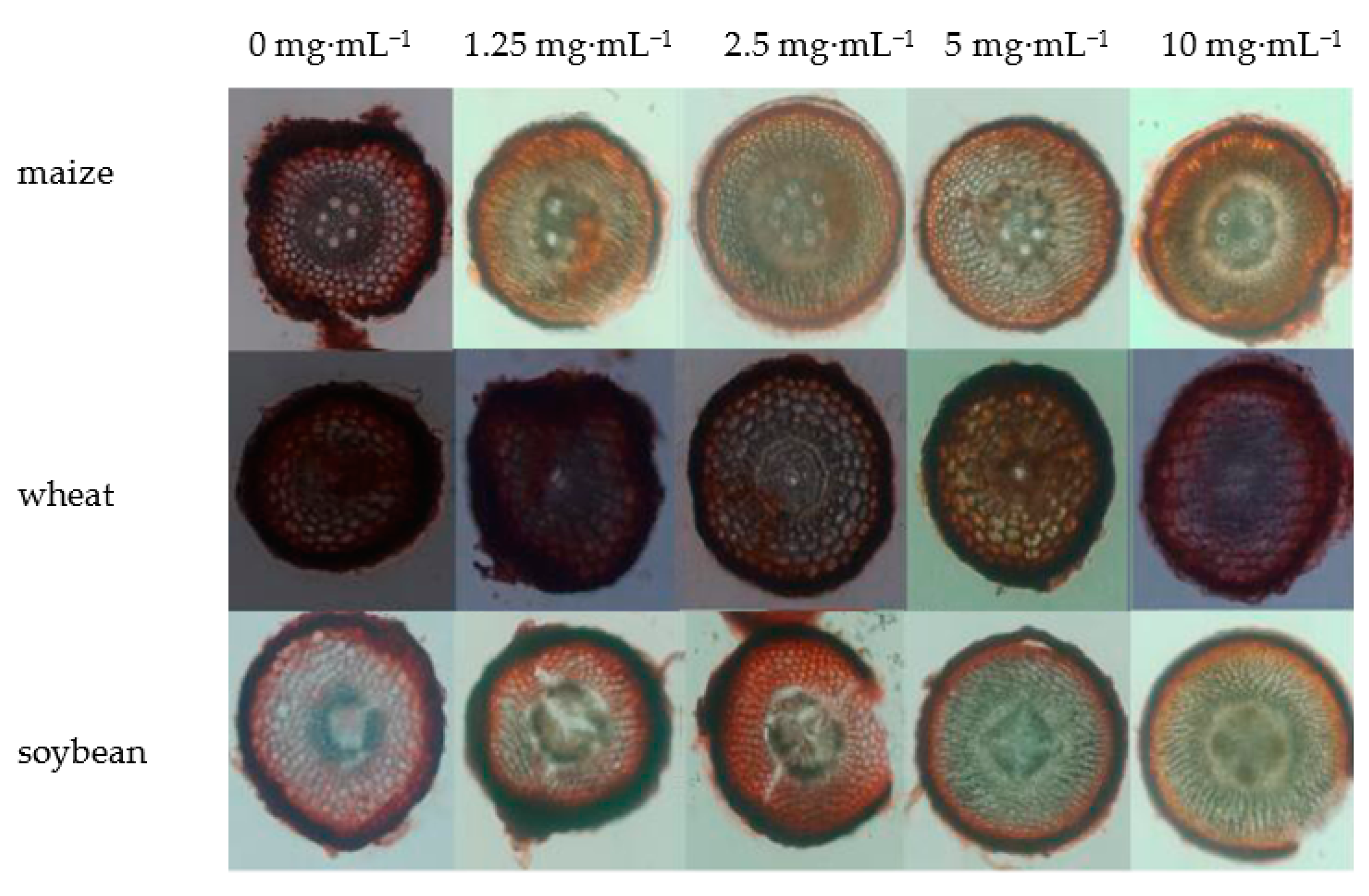 Agronomy 12 00844 g006