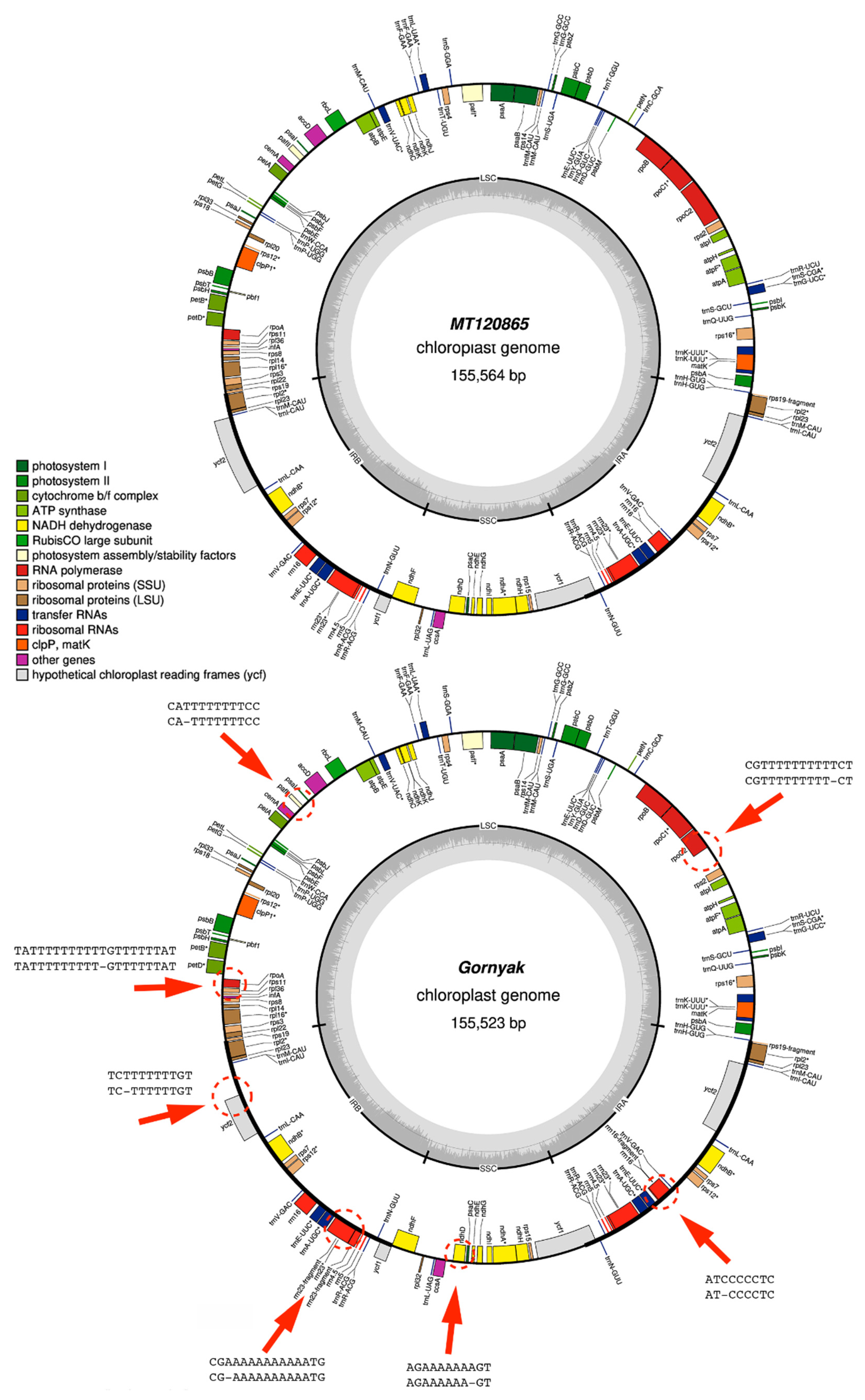 Agronomy 12 00846 g002