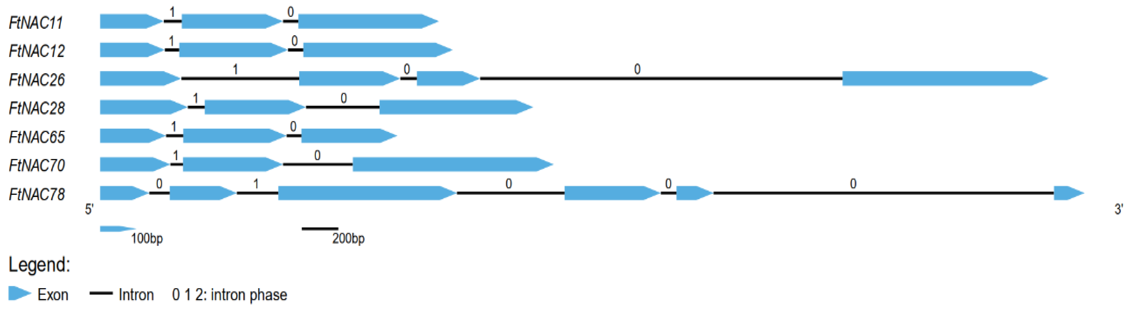 Agronomy 12 00849 g001